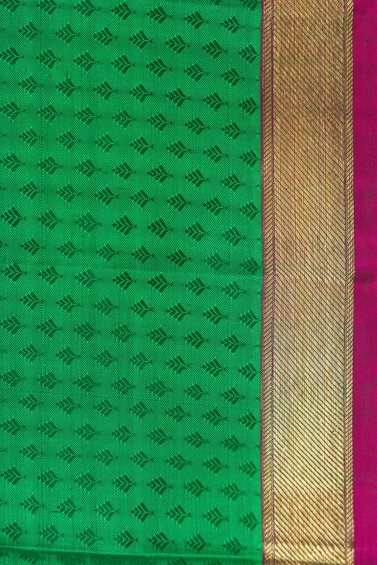 Border image of Green Dual Tone Kanchipuram Silk Saree with Jacquard design on the body and Zari Border. 
