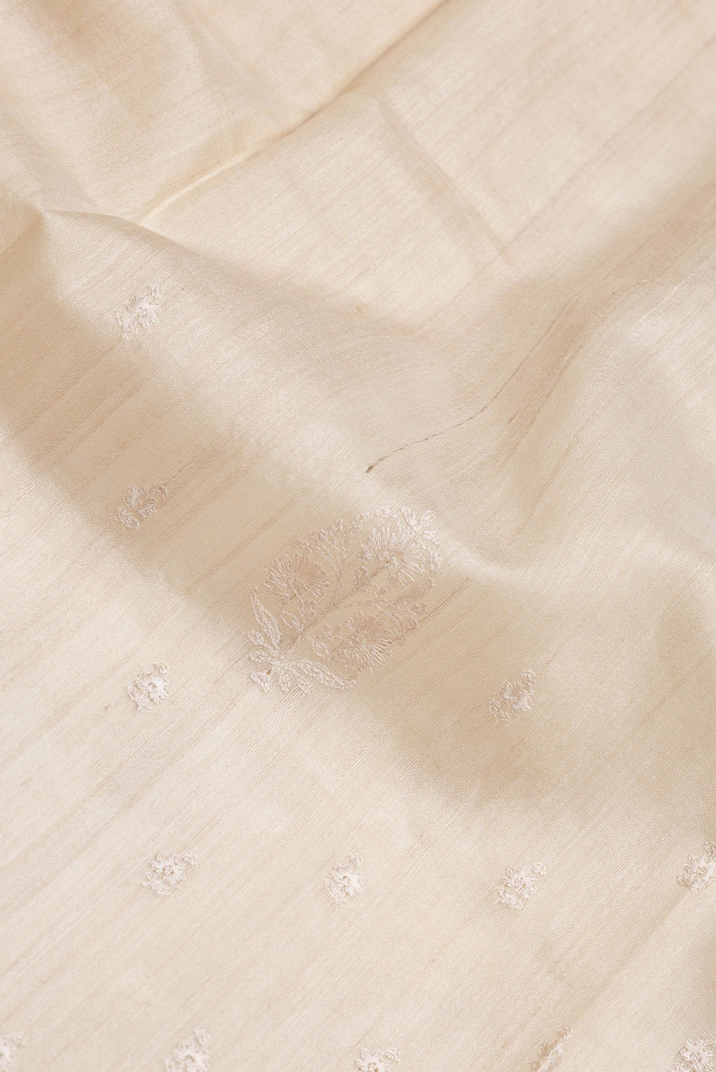 Close up of Beige Dual Tone Tussar Silk Saree with Embroidery on the body and Zari Border.  displaying folds