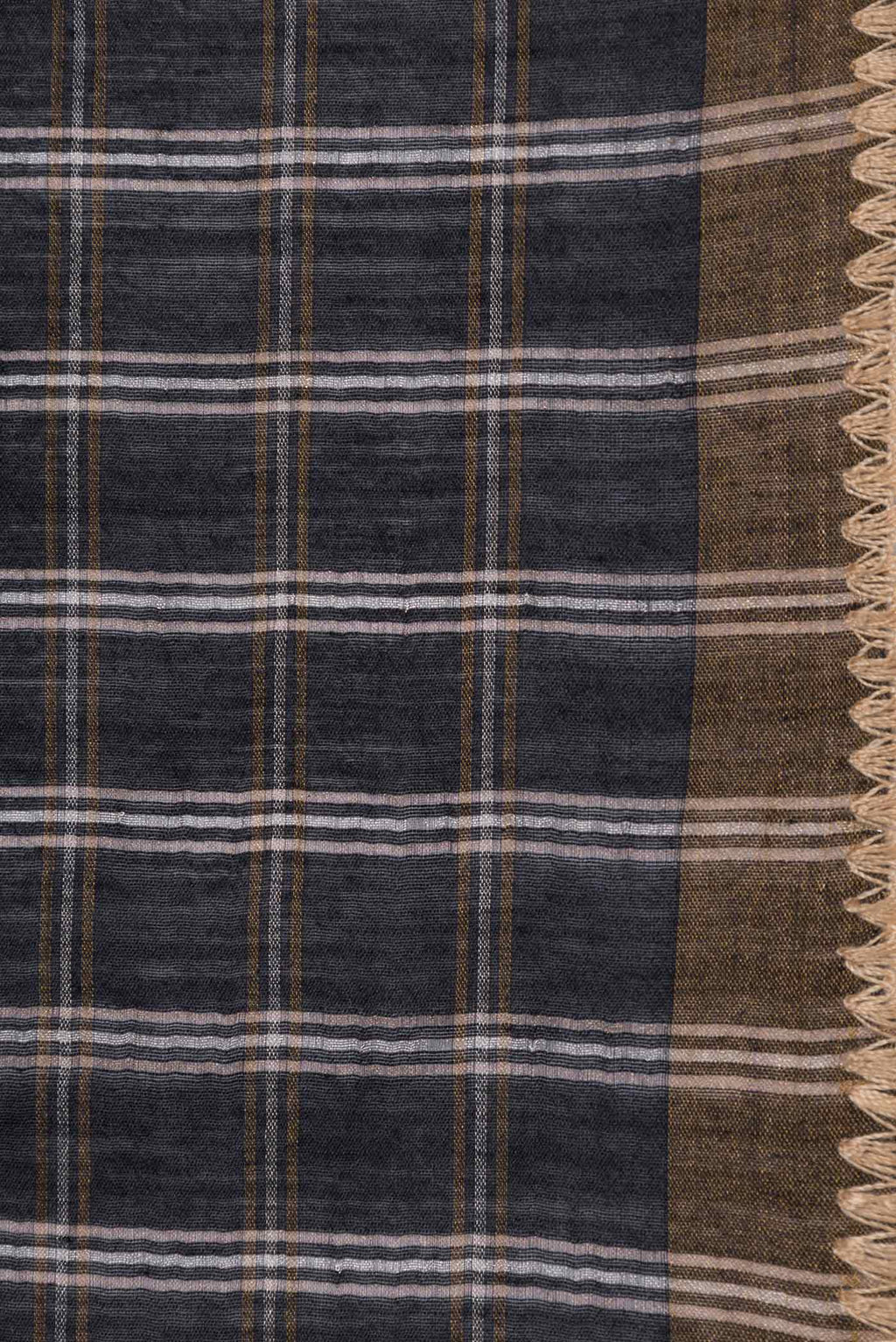 Border image of Black Tussar Silk Saree with Checked design on the body and Embroidery Border