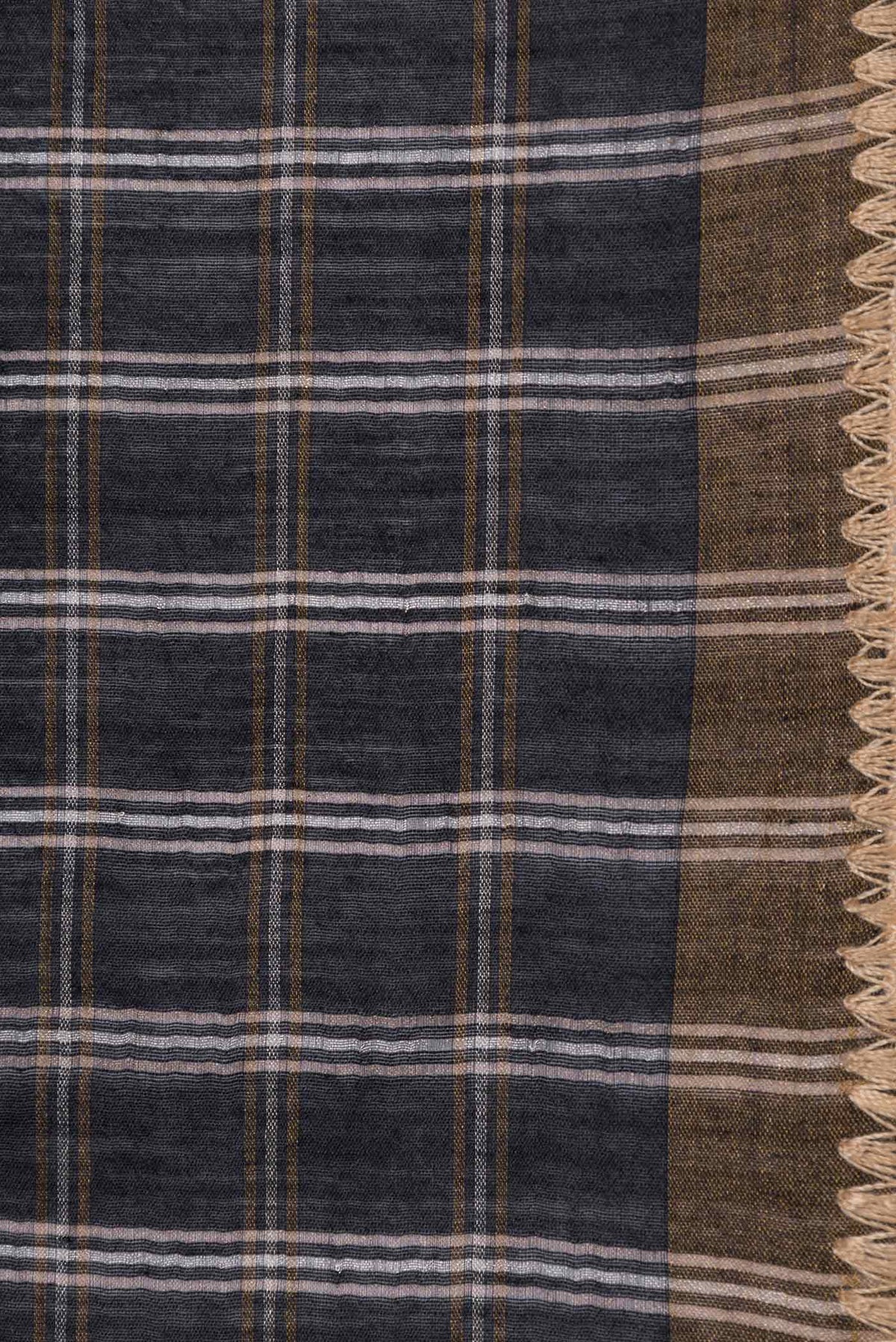 Border image of Black Tussar Silk Saree with Checked design on the body and Embroidery Border