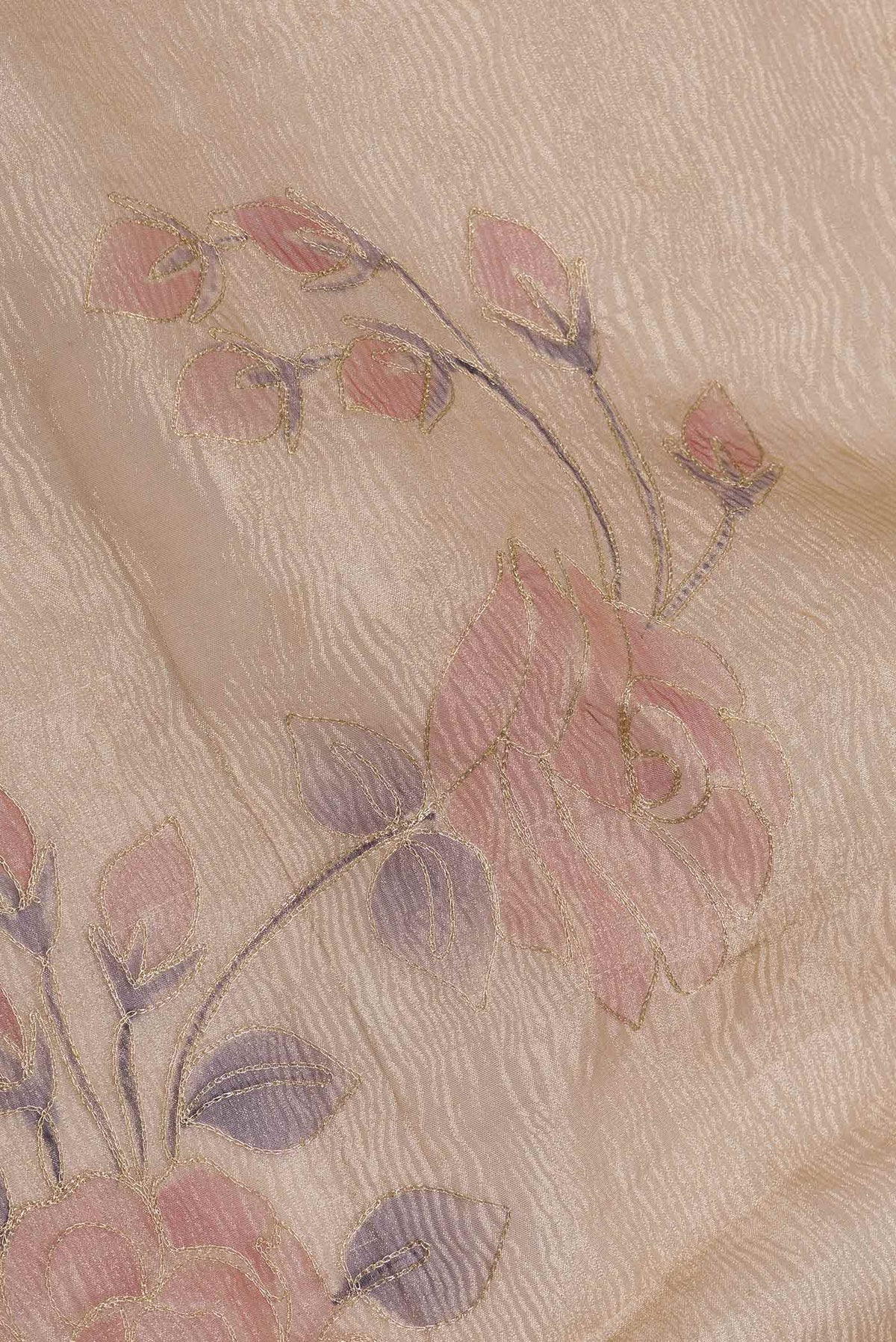Close up of Gold Dual Tone Organza Silk Saree with Zari Brocade on the body and Zari Border displaying folds