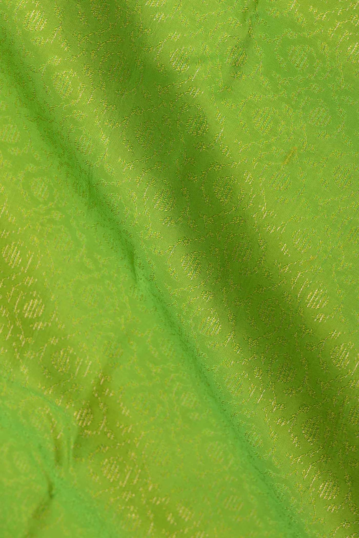 Close up of Parrot Green Dual Tone Kanchipuram Saree with Jacquard With Zari Butta on the body and Zari Border displaying folds