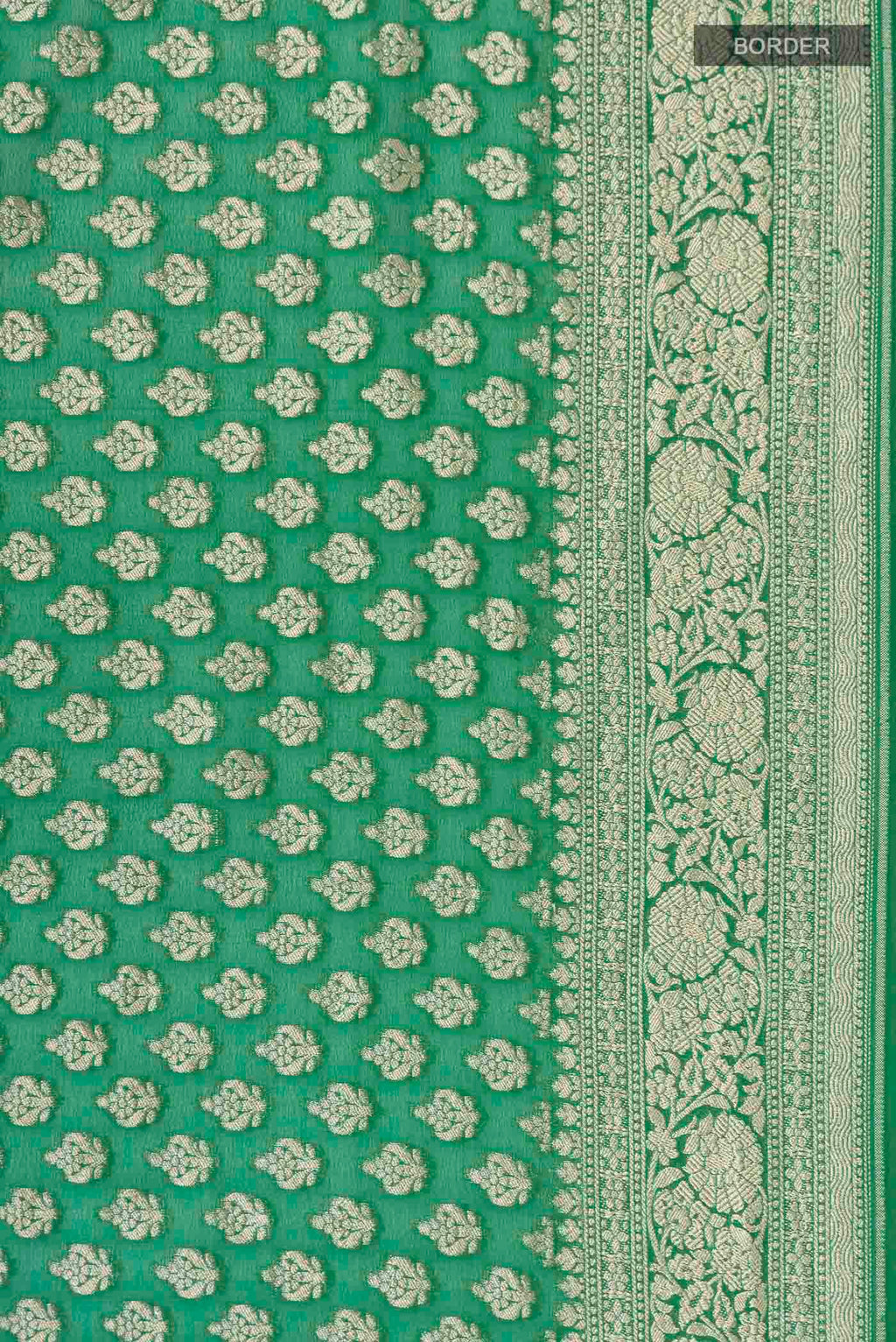 Border image of Green Banarasi Georgette Saree with Zari Butta on the body and Zari Border