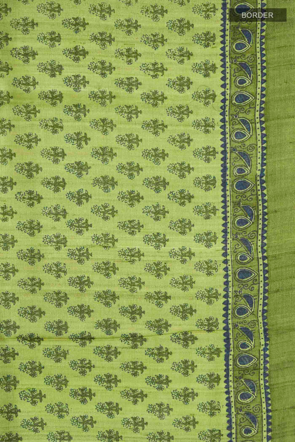 Border image of Green Tussar Silk Saree with Printed design on the body and Plain Border