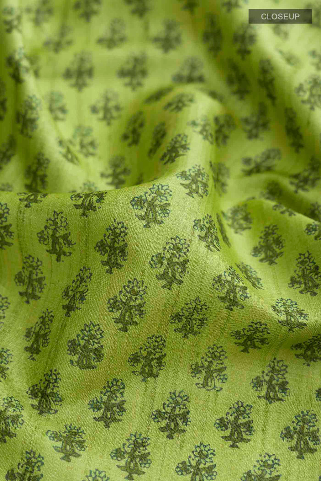 Close up of Green Tussar Silk Saree with Printed design on the body and Plain Border displaying folds