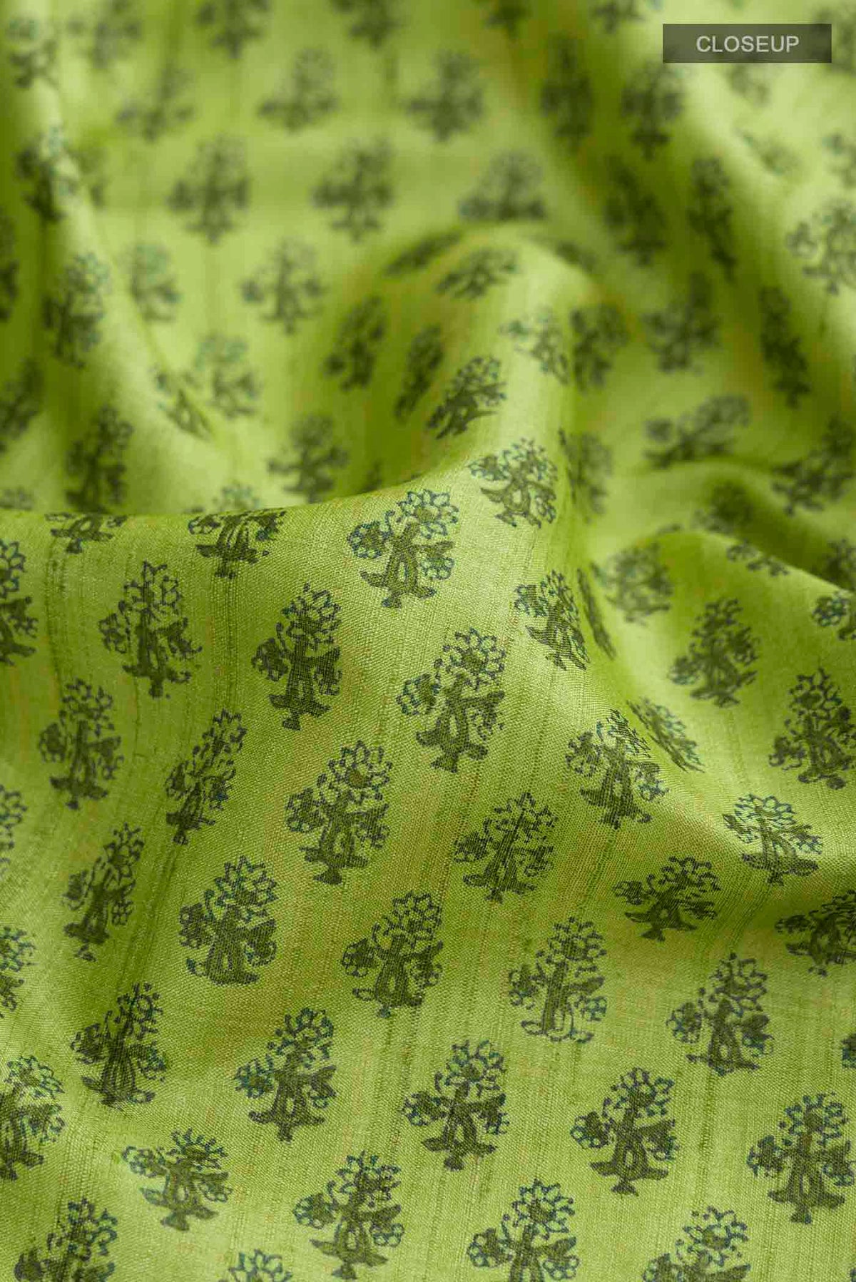 Close up of Green Tussar Silk Saree with Printed design on the body and Plain Border displaying folds