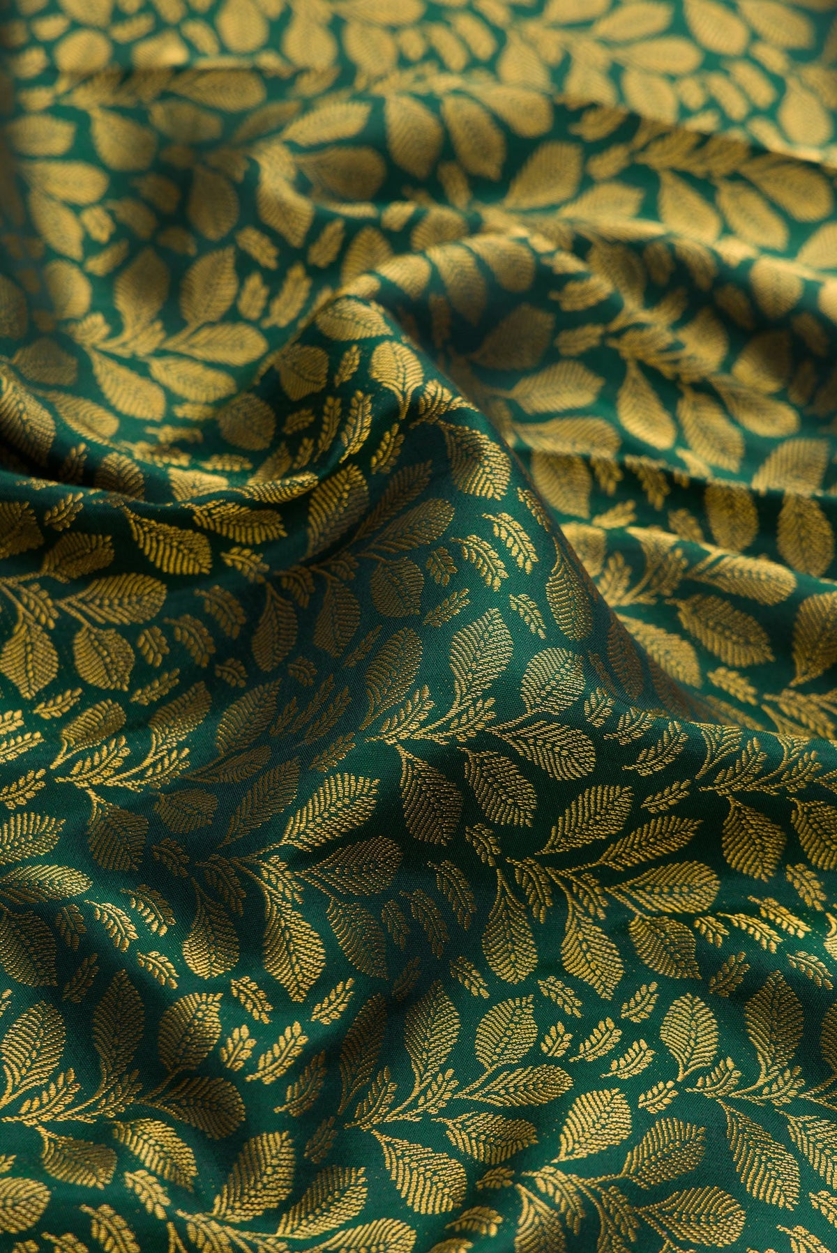 Close up of Green Dual Tone Kanjivaram Silk Saree with Zari Brocade on the body and Zari Border.  displaying folds