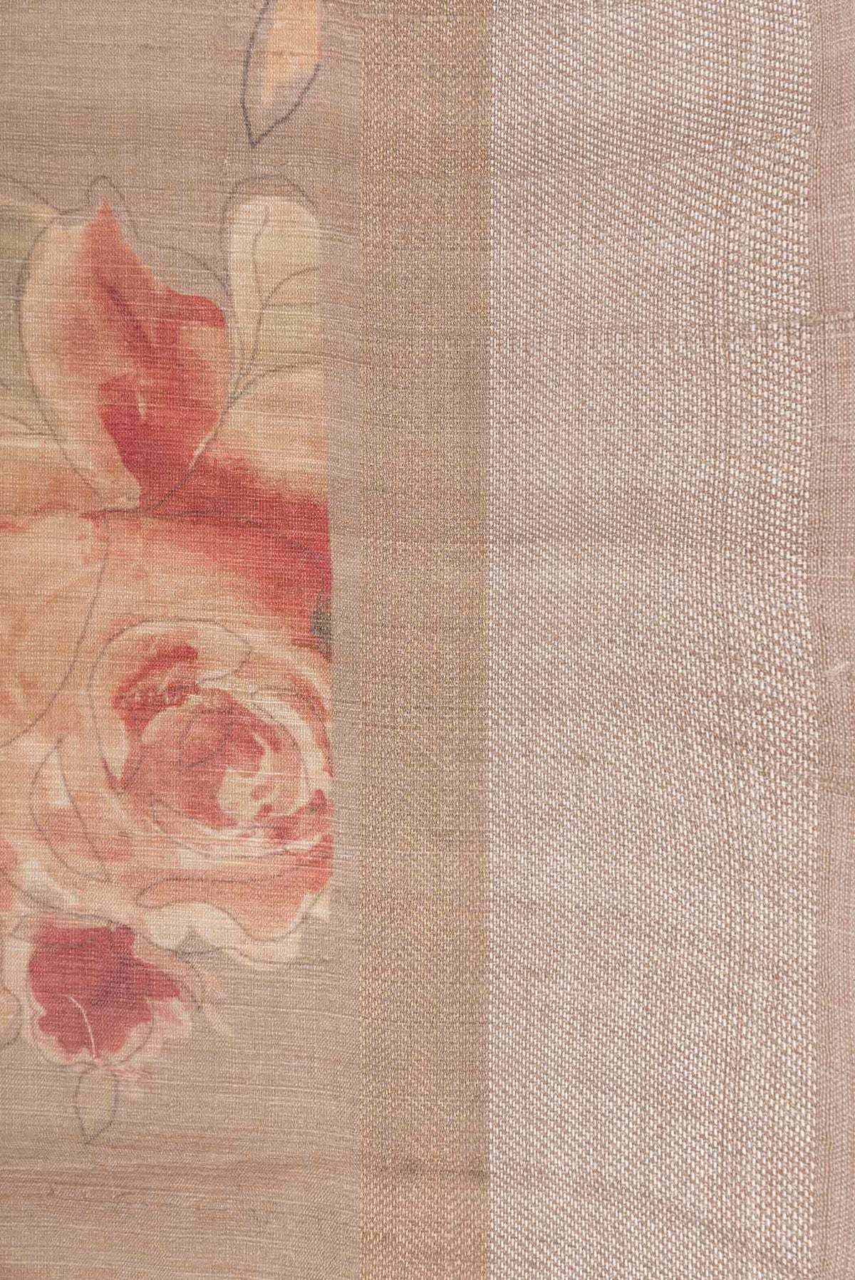 Border image of Beige Dual Tone Tussar Silk Saree with Printed design on the body and Zari Border