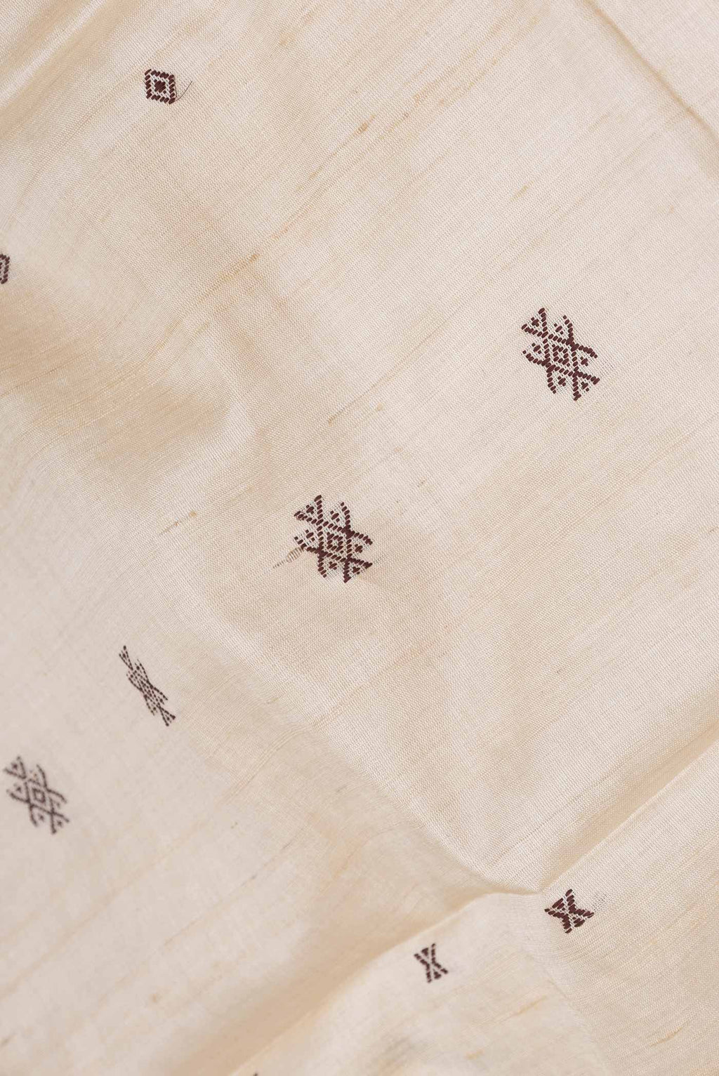 Close up of Beige Dual Tone Tussar Silk Saree with Embroidery on the body and Plain Border displaying folds