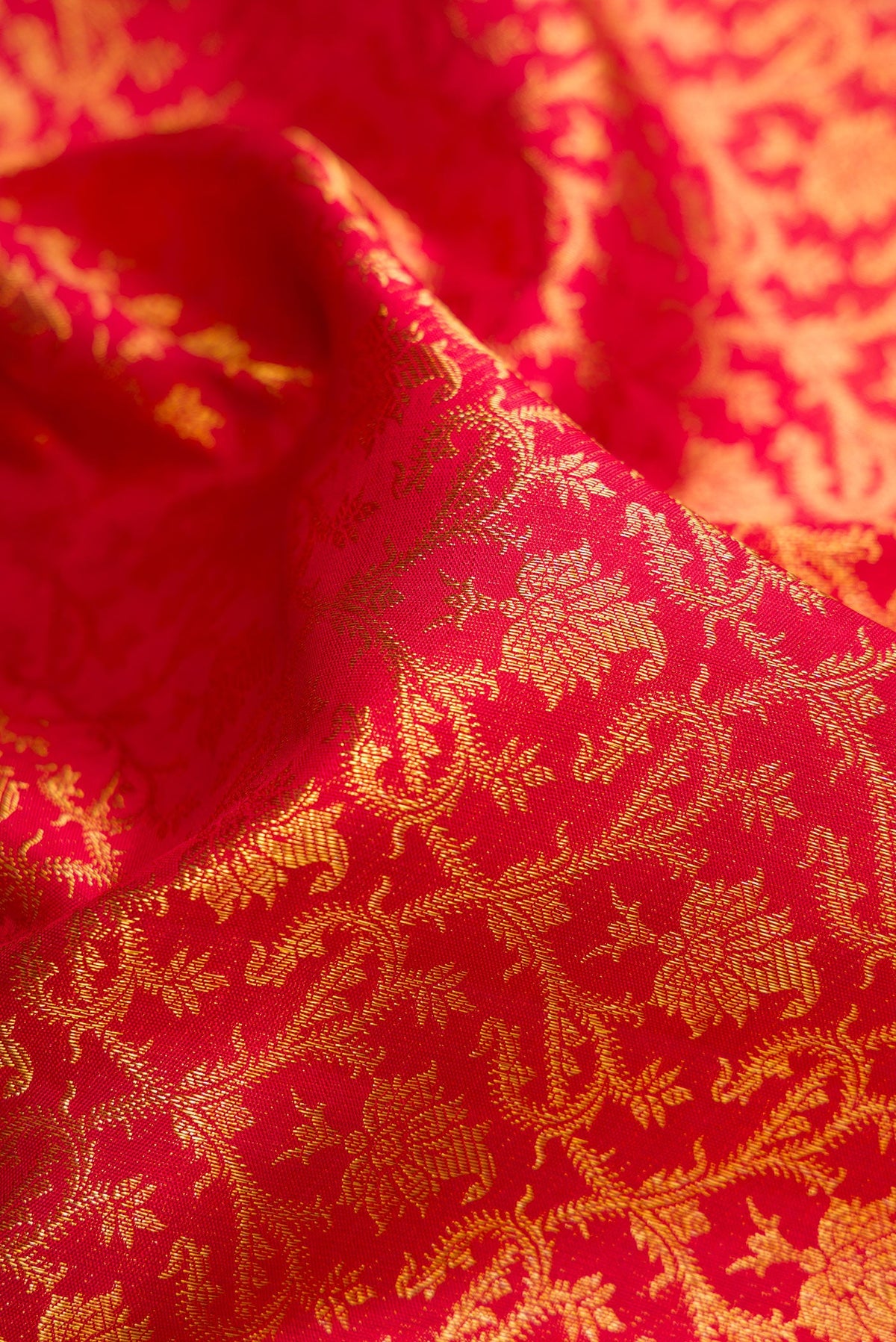 Close up of Red Dual Tone Kanchipuram Silk Saree with Zari Brocade on the body and Zari Border.  displaying folds