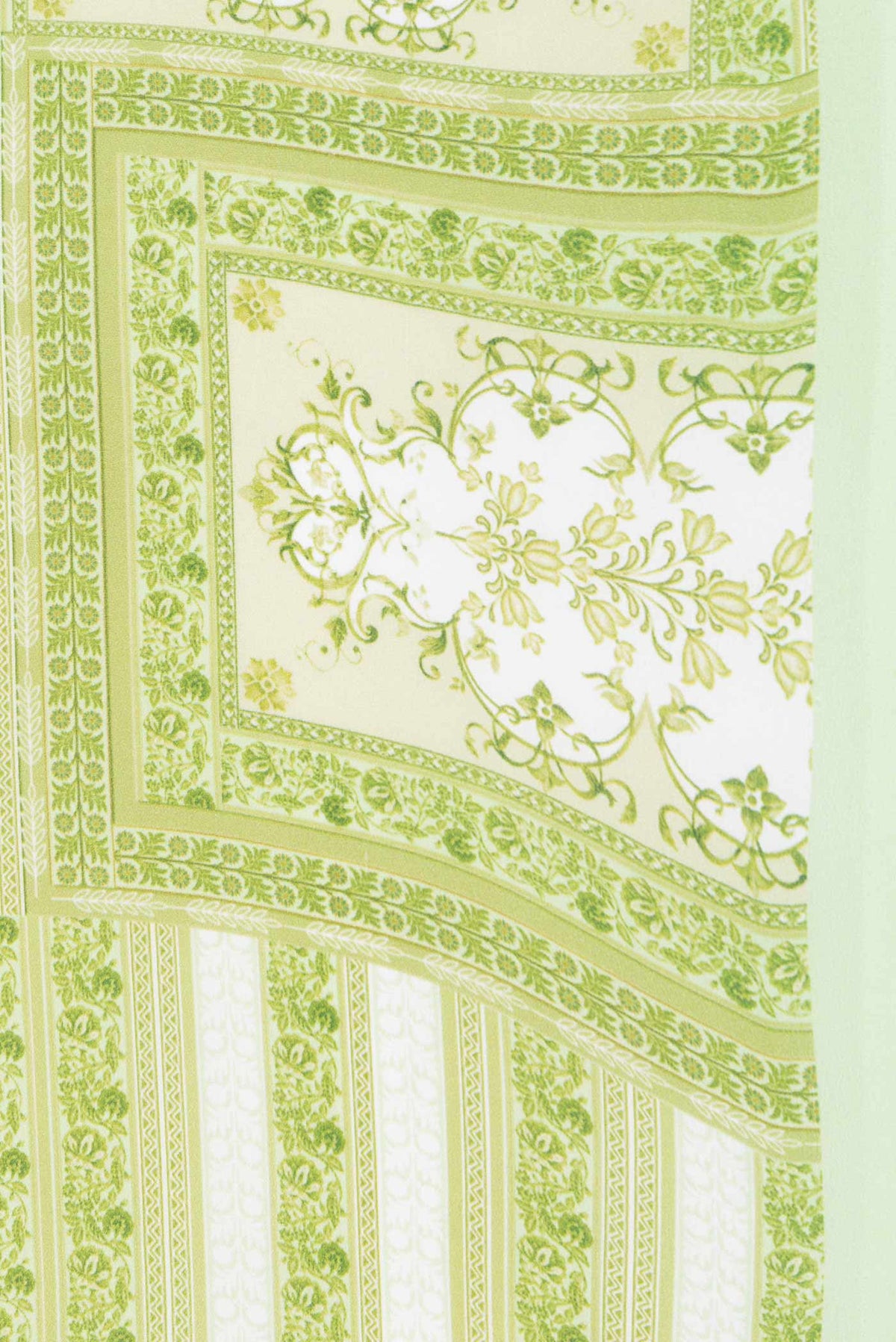 Border image of Pista Green Dual Tone Mysore Crepe Saree with Printed design on the body and Printed Border