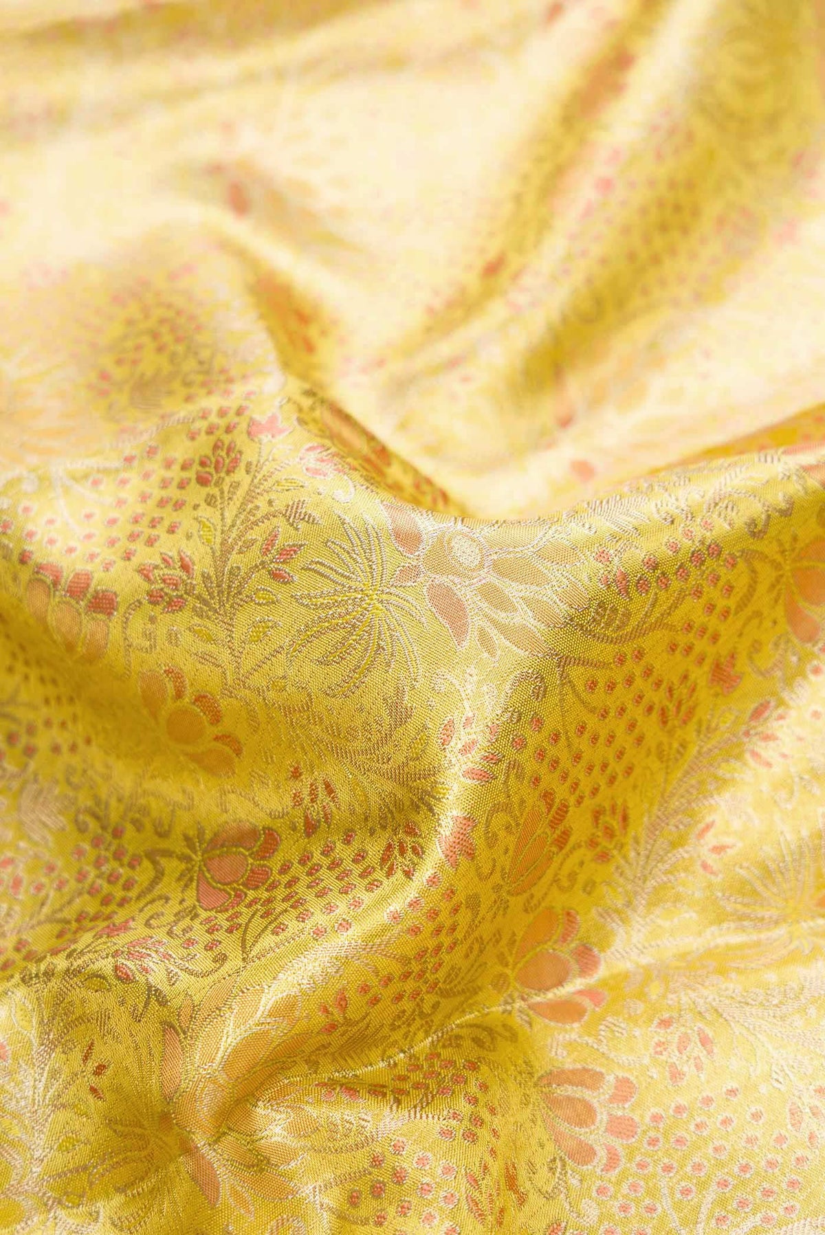 Close up of Gold Dual Tone Kanchipuram Tissue Silk Saree with Zari Brocade on the body and Zari Border.  displaying folds