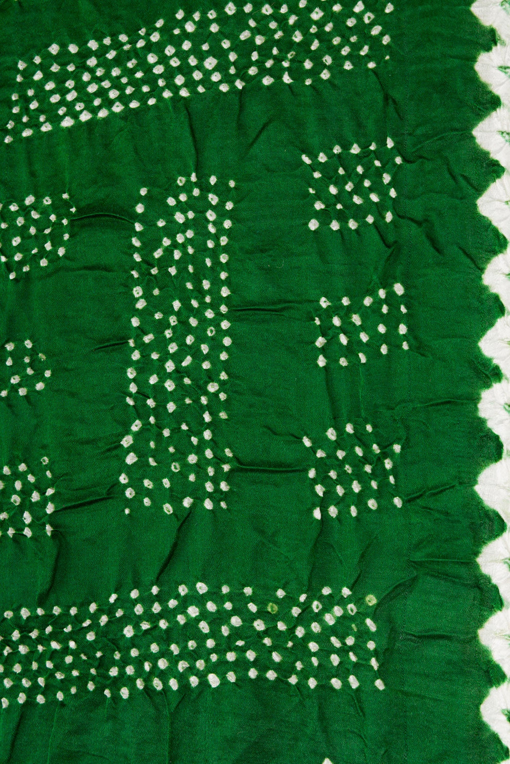 Border image of Bottle Green Dual Tone Bandhani Silk Saree with Printed design on the body and Printed Border. 