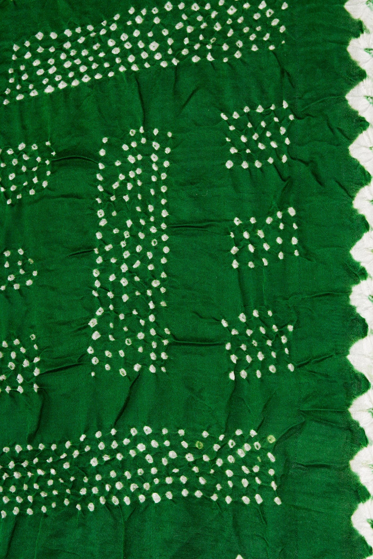 Border image of Bottle Green Dual Tone Bandhani Silk Saree with Printed design on the body and Printed Border. 