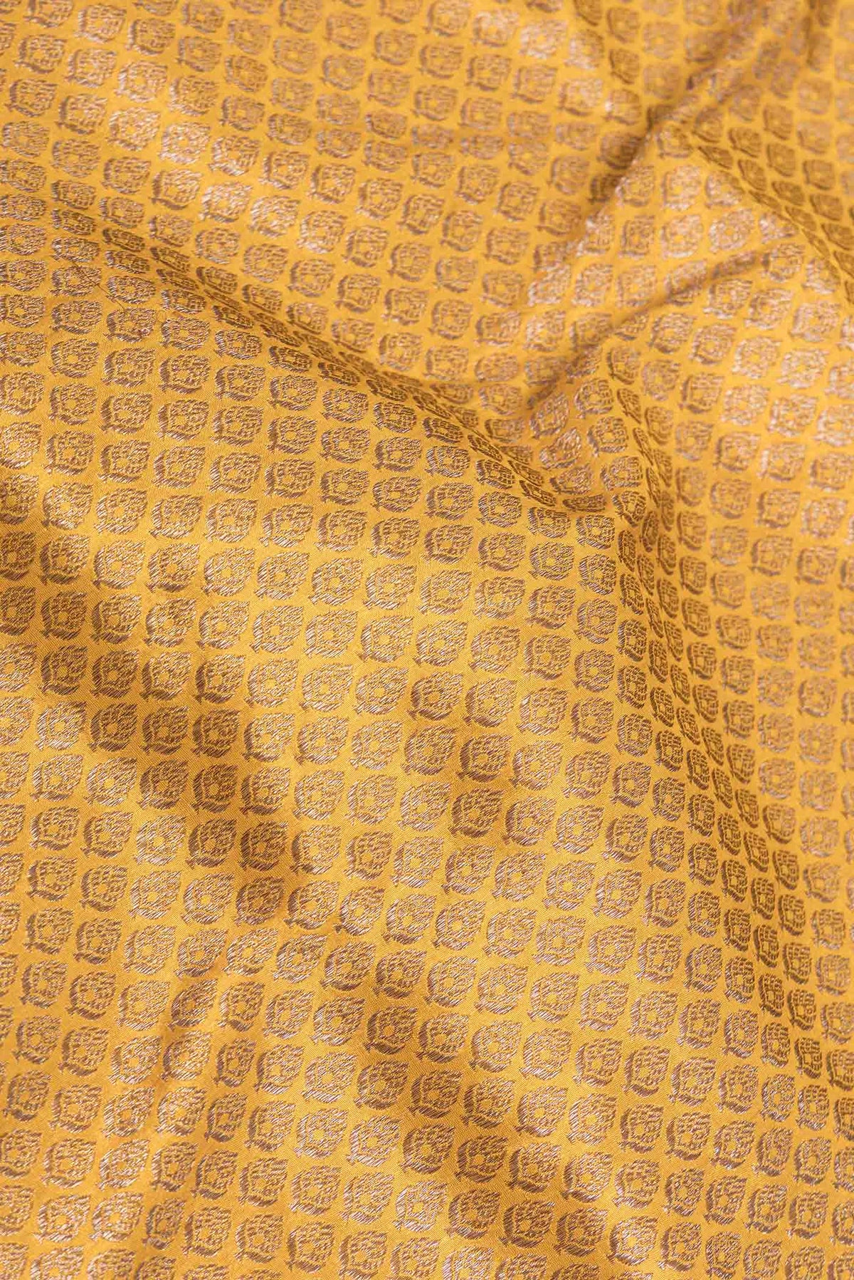 Close up of Mustard Dual Tone Banarasi Silk Saree with Zari Brocade on the body and Zari Border displaying folds