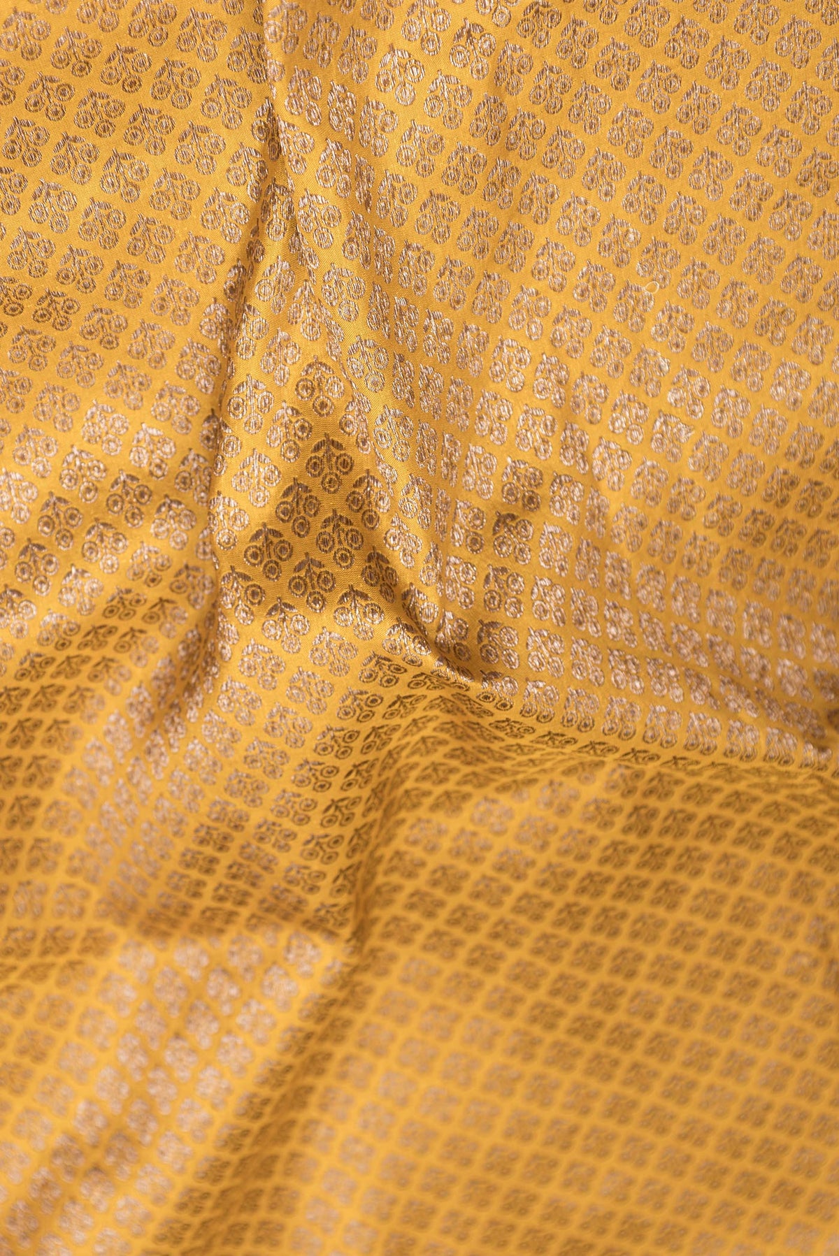 Close up of Yellow Dual Tone Banarasi Silk Saree with Zari Brocade on the body and Zari Border.  displaying folds