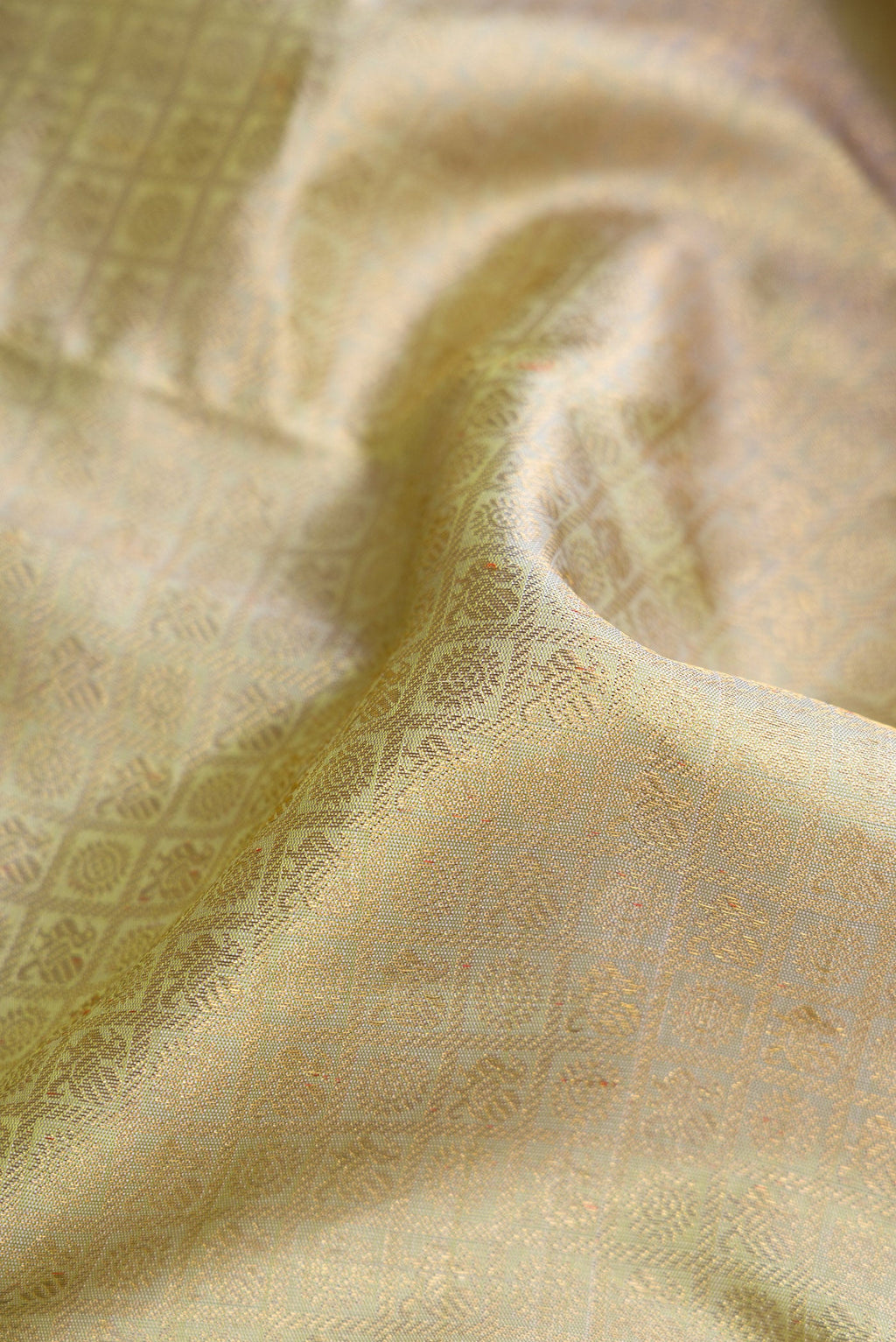 Close up of Pure Silk Pure Zari Light Green Dual Tone Kanjivaram Saree with Zari Brocade on the body and Zari Border.  displaying folds