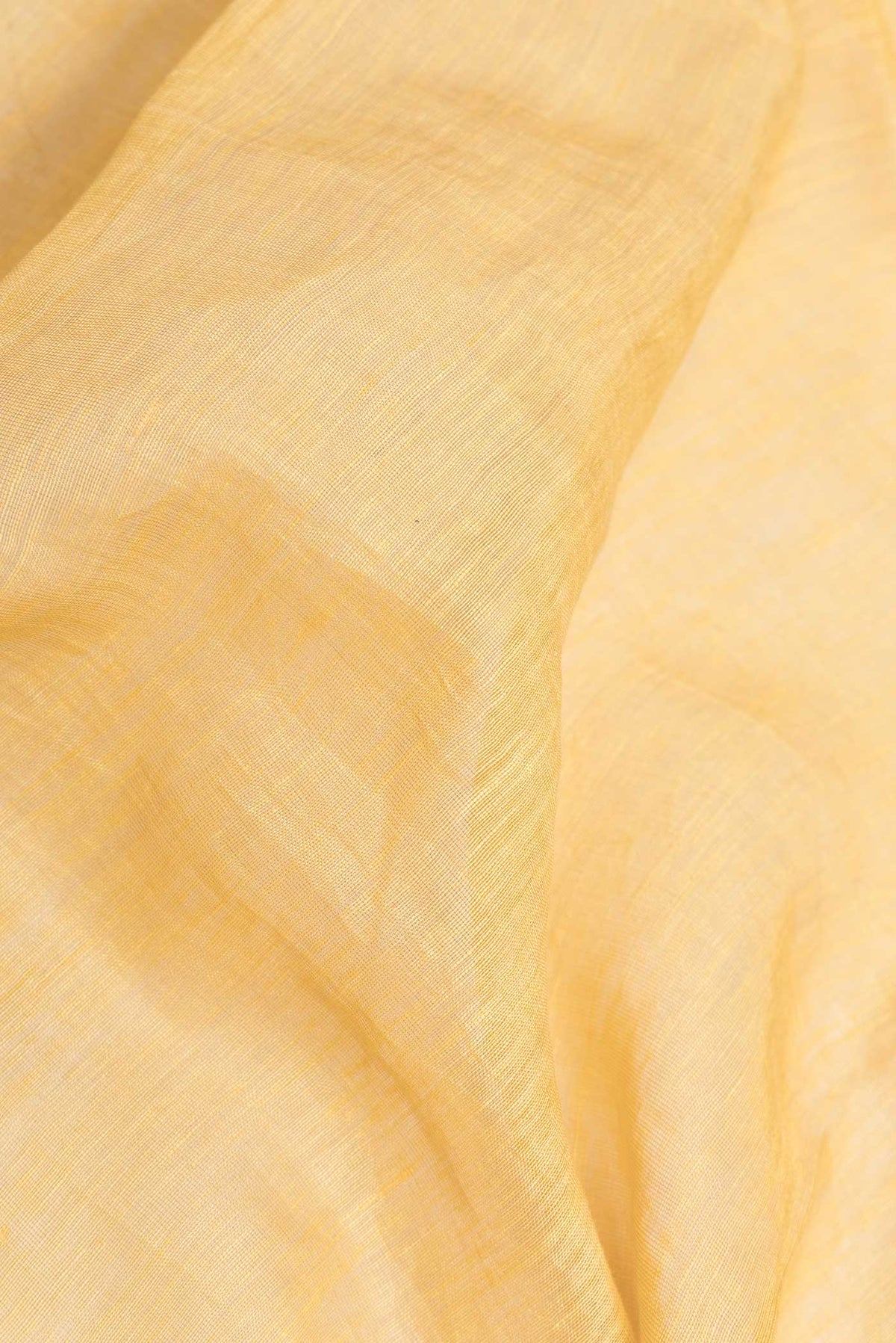 Close up of Gold Dual Tone Linen Saree with Embroidery on the body and Embroidery Border displaying folds