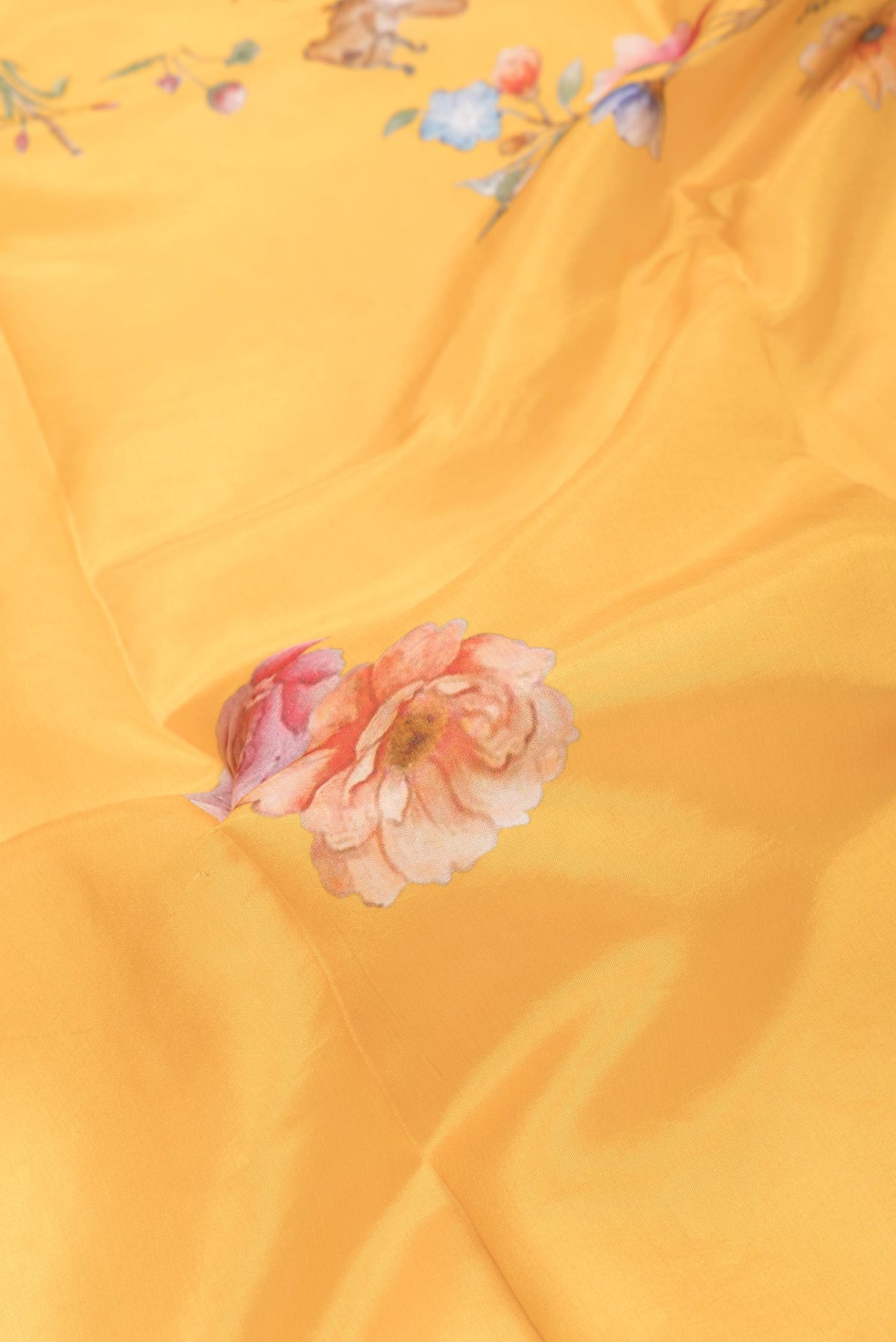 Close up of Orange Dual Tone Tussar Silk SareePrinted design on the body and Zari Border displaying folds