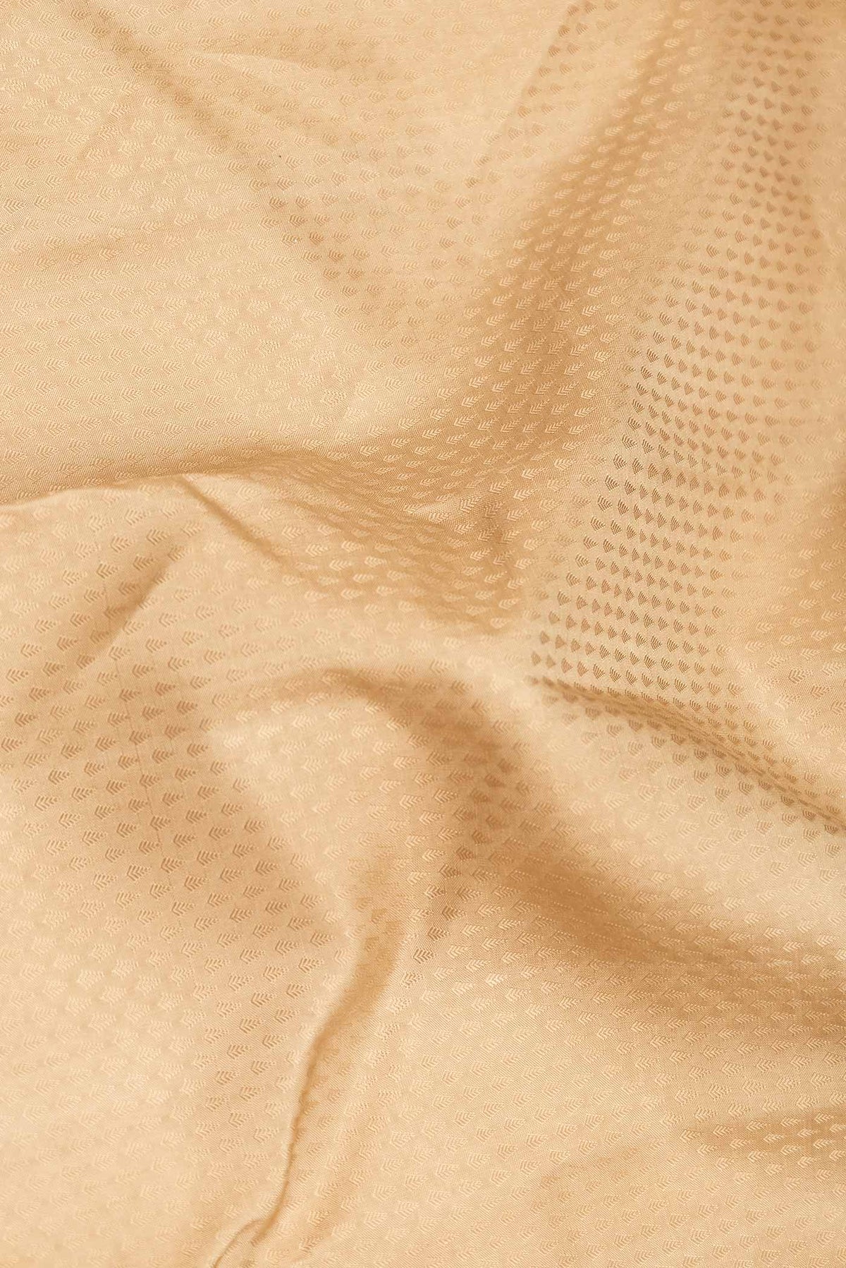 Close up of Pure Silk Pure Zari Beige Dual Tone Kanchipuram SareeJacquard design on the body and Zari Border displaying folds