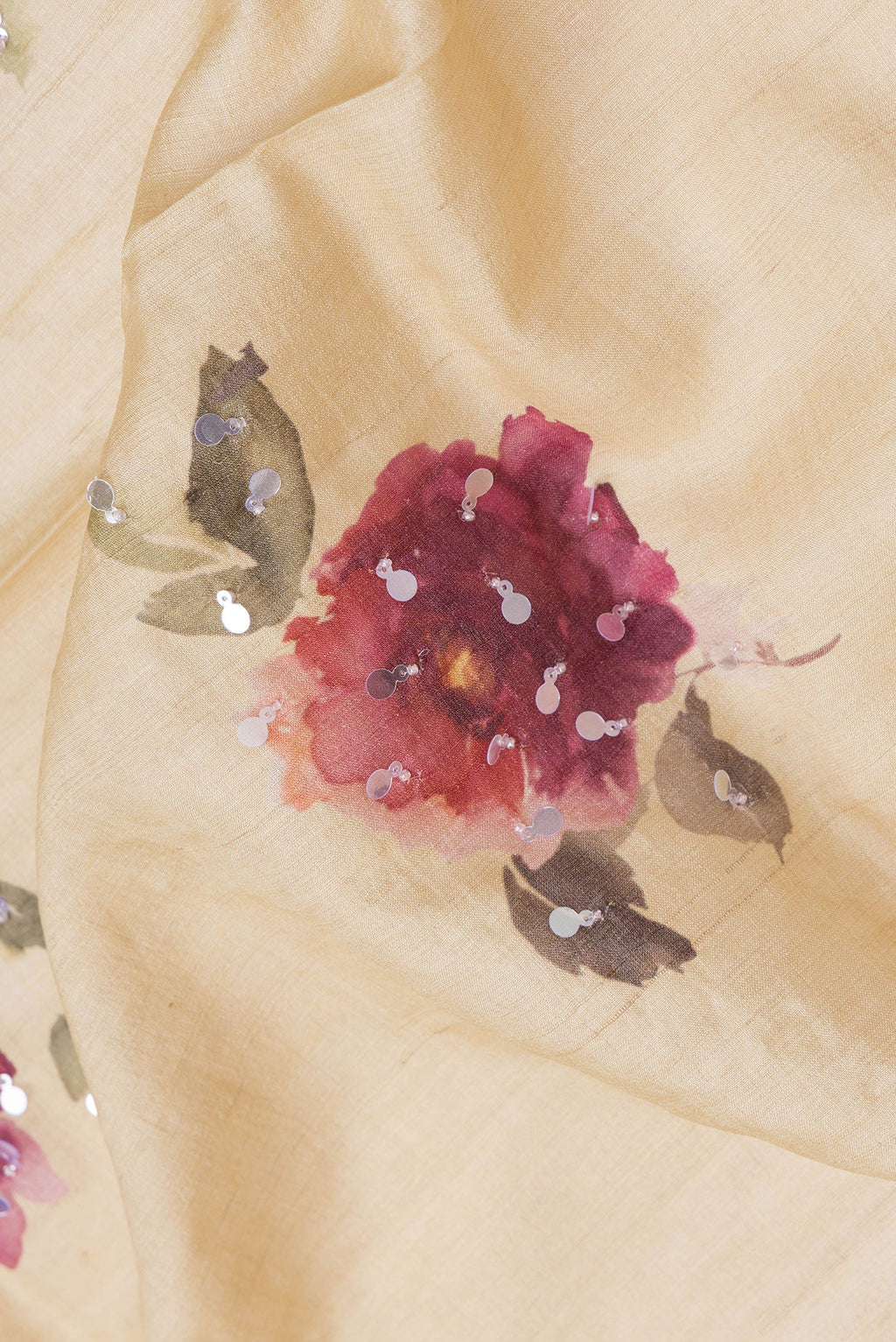 Close up of Beige Dual Tone Tussar Silk Saree with Embroidery on the body and Embroidery Border.  displaying folds