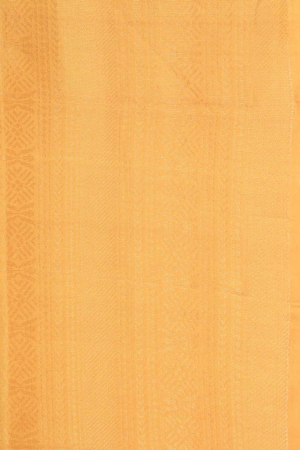 Border image of Mustard Dual Tone Soft Silk Saree with Zari Brocade on the body and Zari Border. 