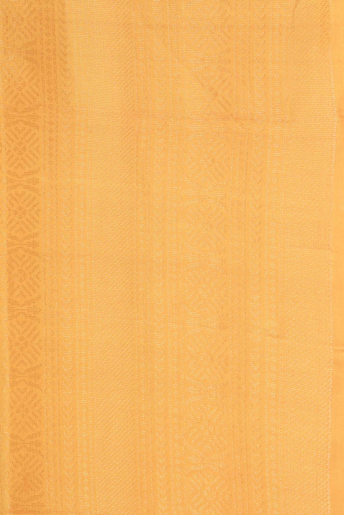 Border image of Mustard Dual Tone Soft Silk Saree with Zari Brocade on the body and Zari Border. 