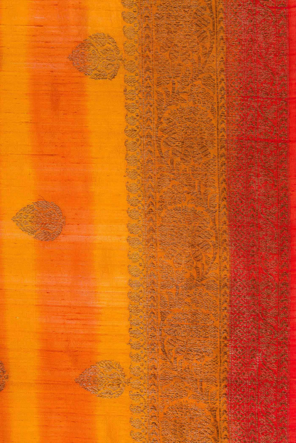 Border image of Mustard Banarasi Tussar Silk Saree with Zari Butta on the body and Zari Border