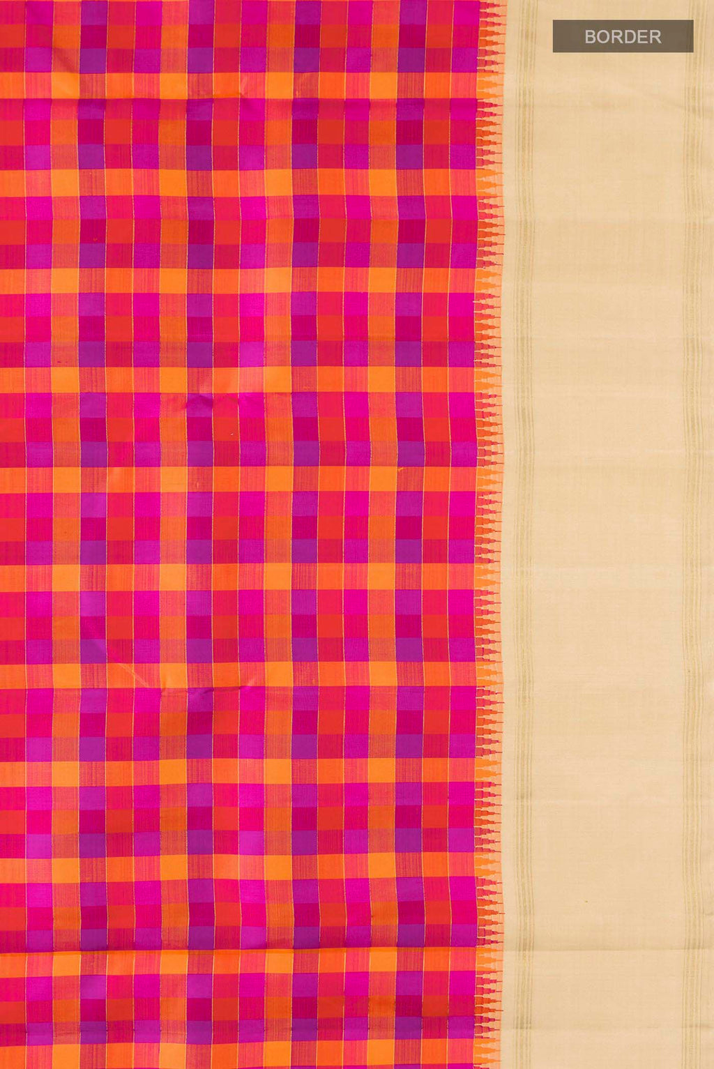 Border image of Multicolor Kanchipuram Silk Saree Checked design on the body and Zari Border