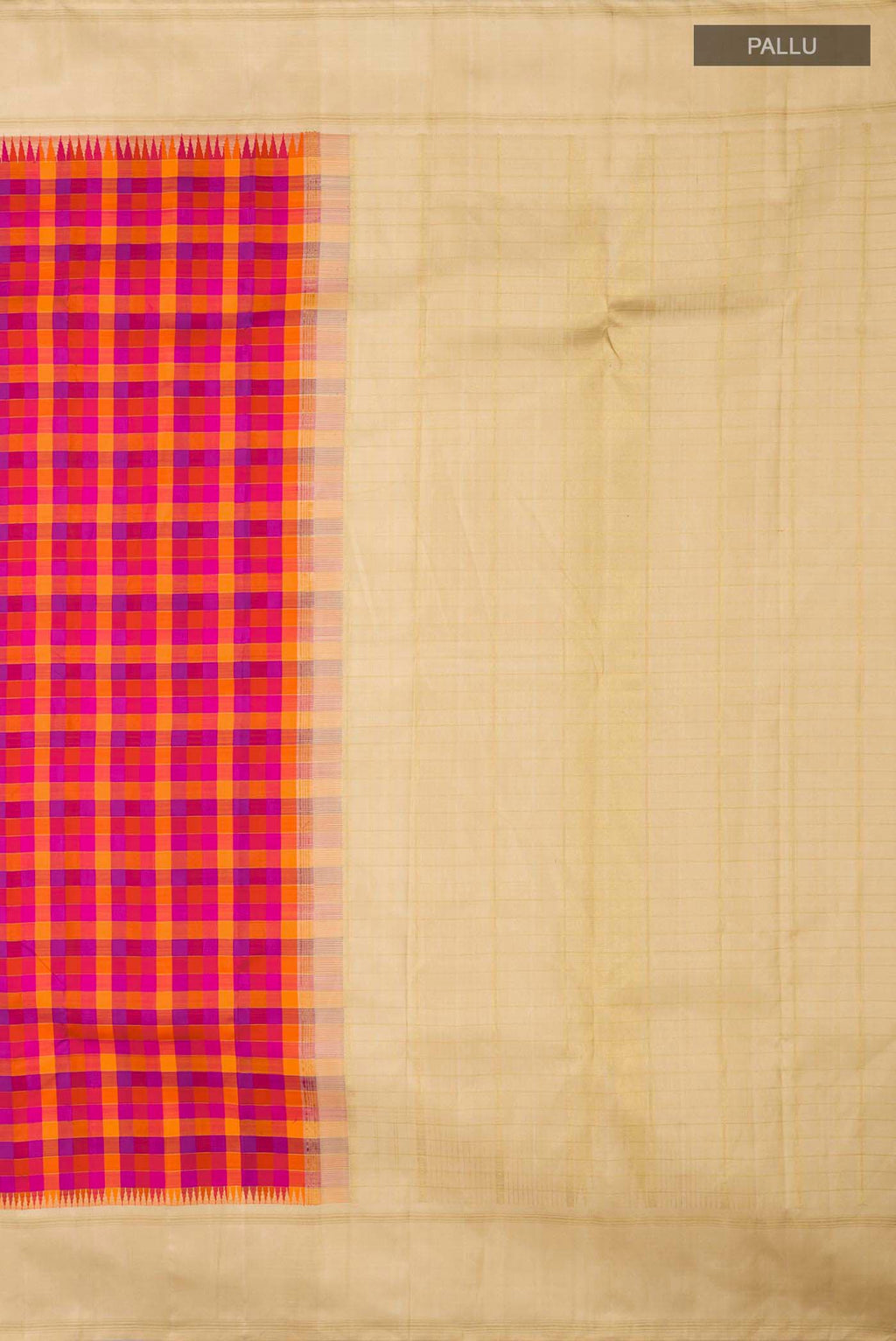 Close up image of the pallu of Multicolor Kanchipuram Silk Saree Checked design on the body and Zari Border