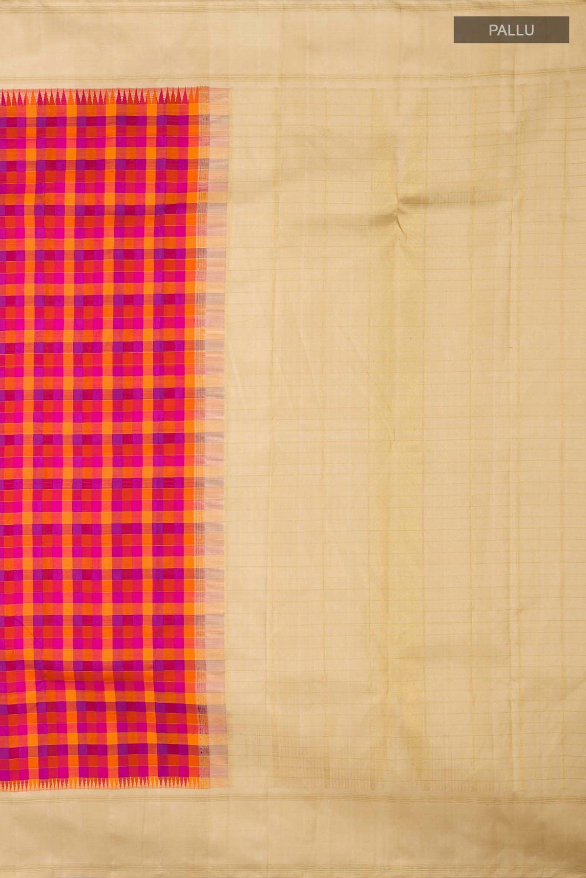 Close up image of the pallu of Multicolor Kanchipuram Silk Saree Checked design on the body and Zari Border