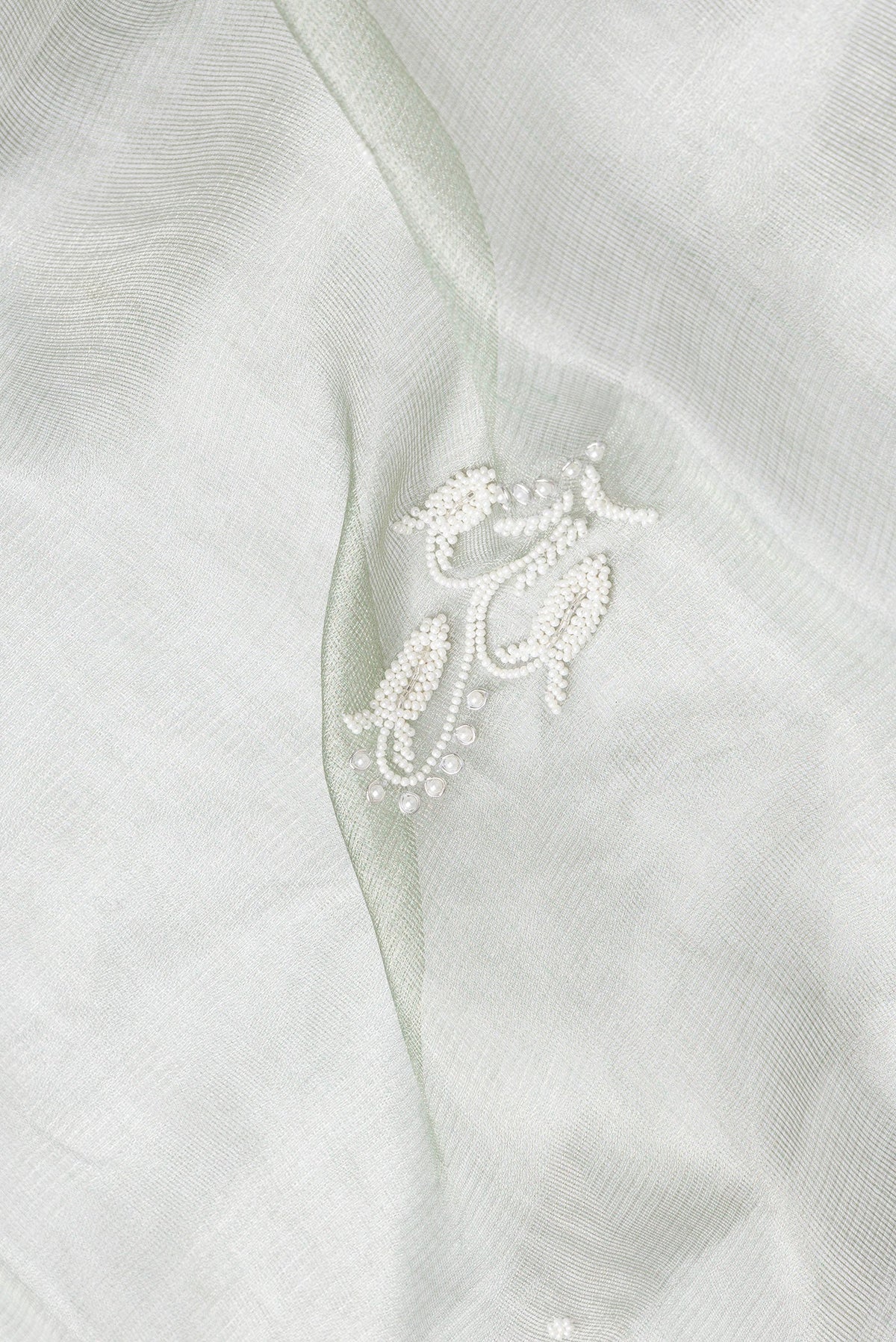 Close up of Pista Green Dual Tone Organza Silk Saree with Embroidery on the body and Embroidery Border.  displaying folds
