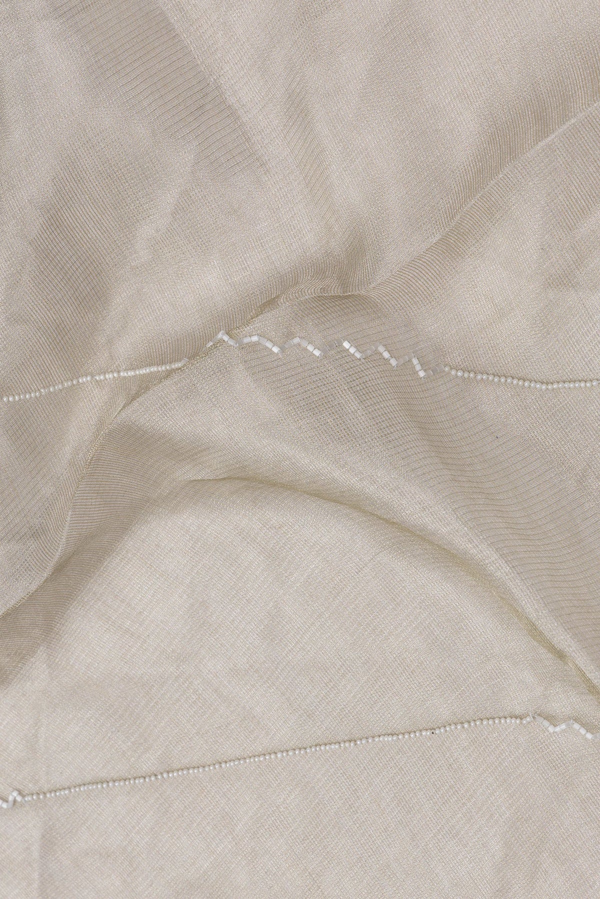 Close up of Beige Dual Tone Organza Silk Saree with Embroidery on the body and Without Border.  displaying folds