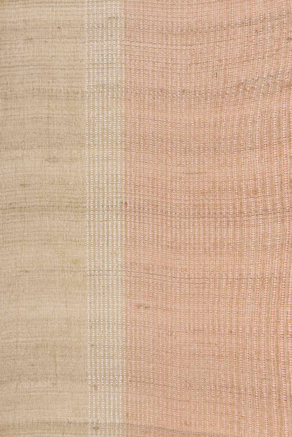 Border image of Beige Dual Tone Tussar SareePrinted design on the body and Embroidery Border