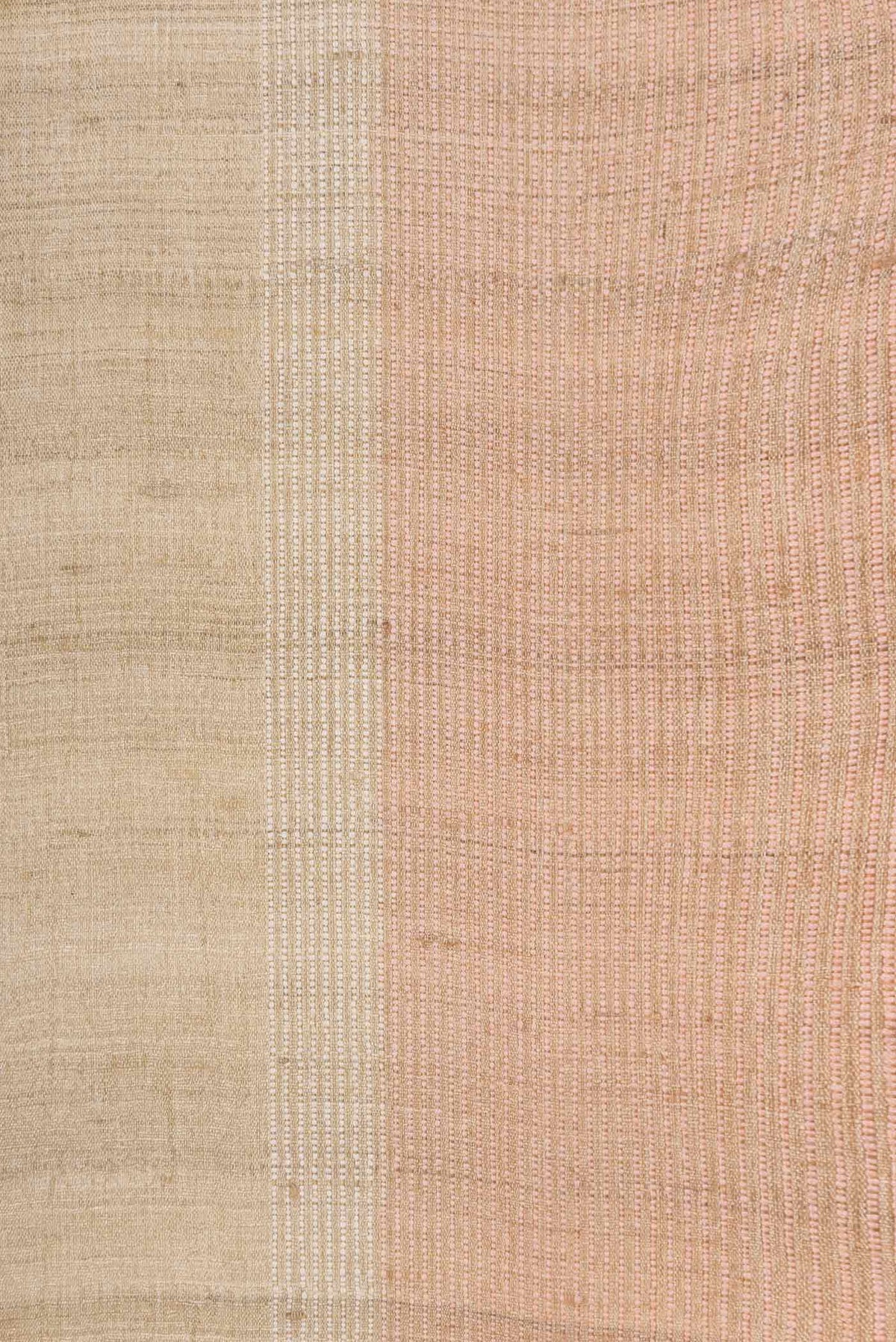 Border image of Beige Dual Tone Tussar SareePrinted design on the body and Embroidery Border