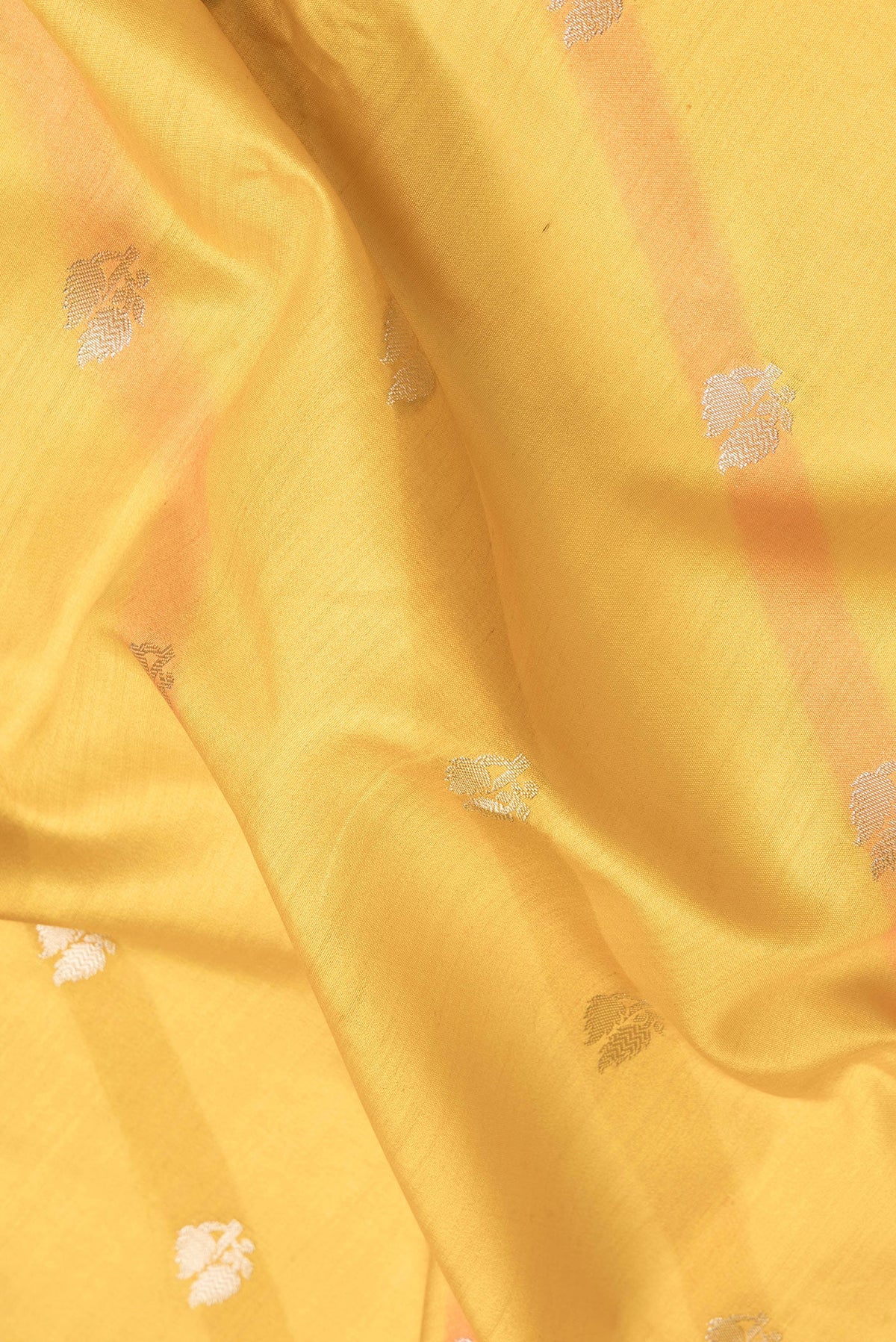 Close up of Mustard Dual Tone Tussar Silk Saree with Zari Butta on the body and Zari Border.  displaying folds