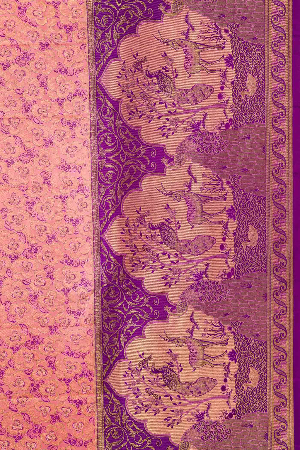 Border image of Golden Peach Dual Tone Kanchipuram Silk Saree with Zari Brocade on the body and Fancy Border