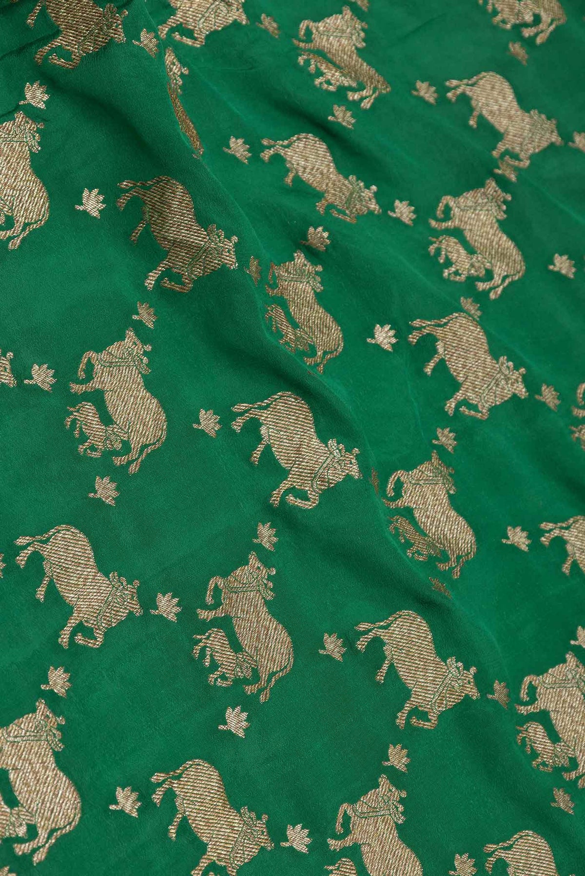 Close up of Green Dual Tone Banarasi Georgette Saree with Zari Brocade on the body and Zari Border displaying folds