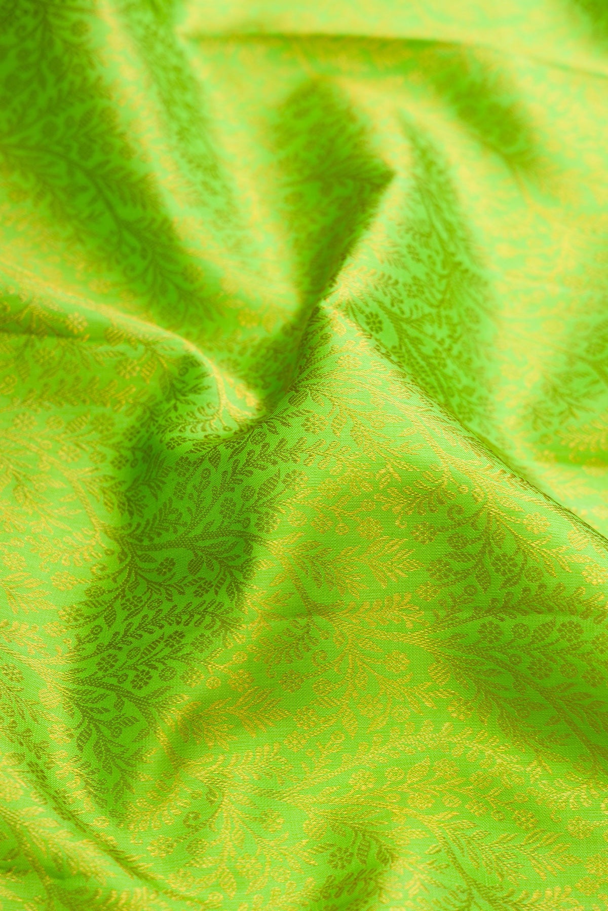 Close up of Parrot Green Dual Tone Kanchipuram Silk Saree with Zari Brocade on the body and Zari Border.  displaying folds