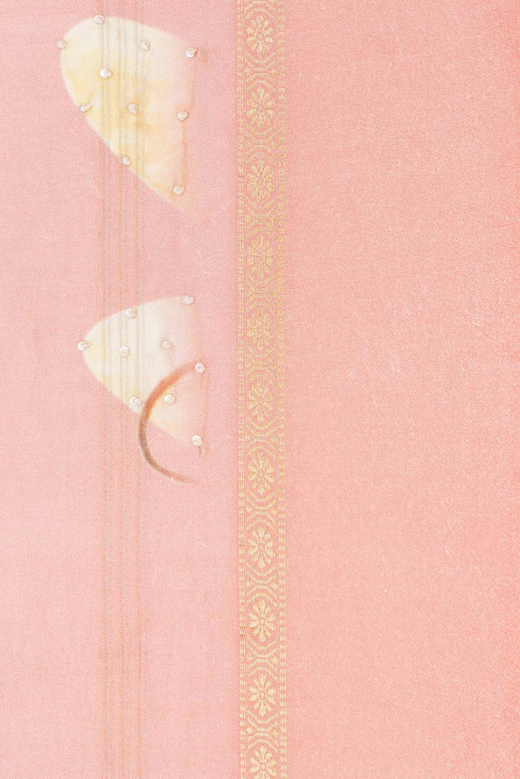 Border image of Peach Dual Tone Tussar Silk Saree with Embroidery on the body and Zari Border