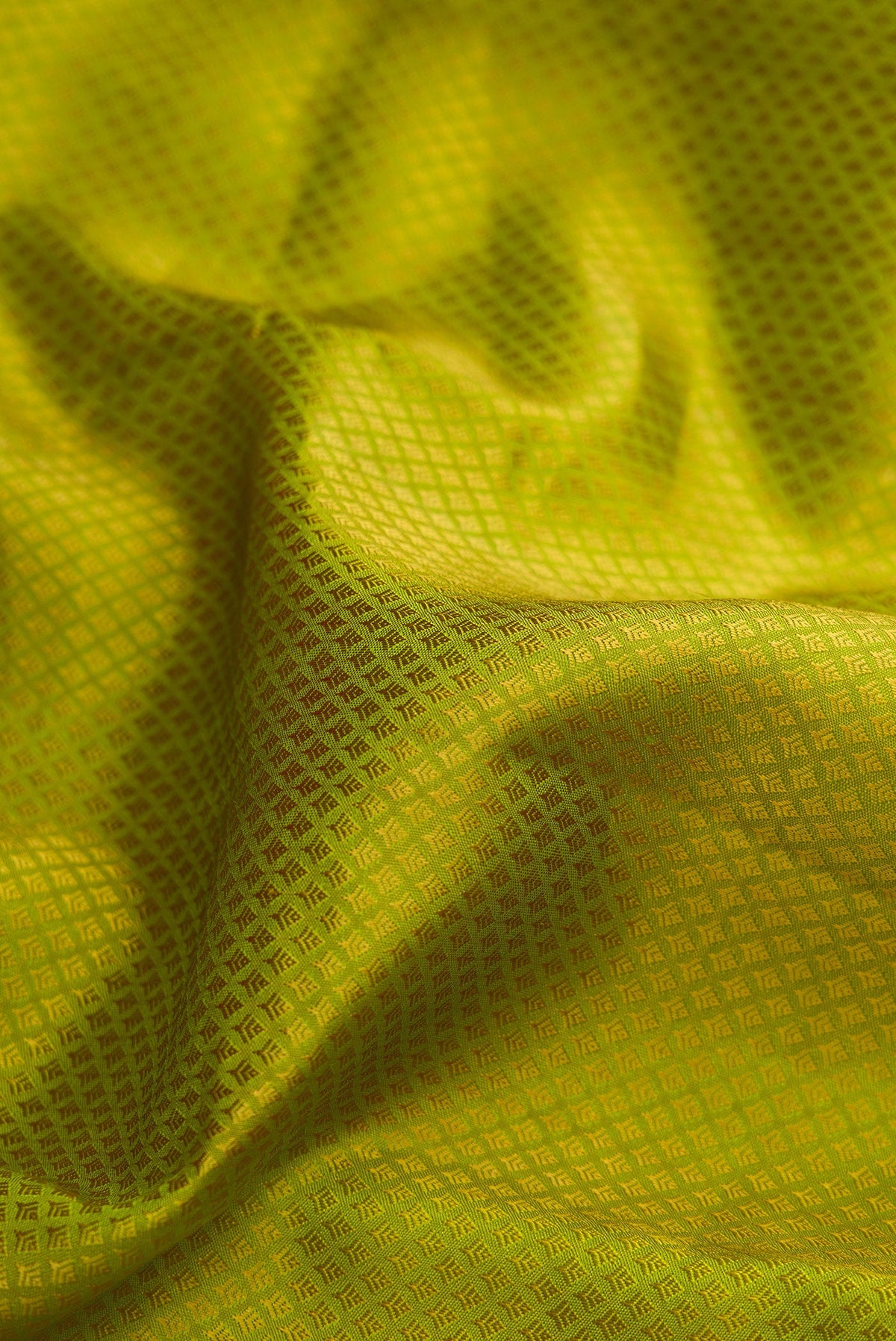 Close up of Pista Green Dual Tone Kanjivaram Silk Saree with Jacquard design on the body and Zari Border.  displaying folds