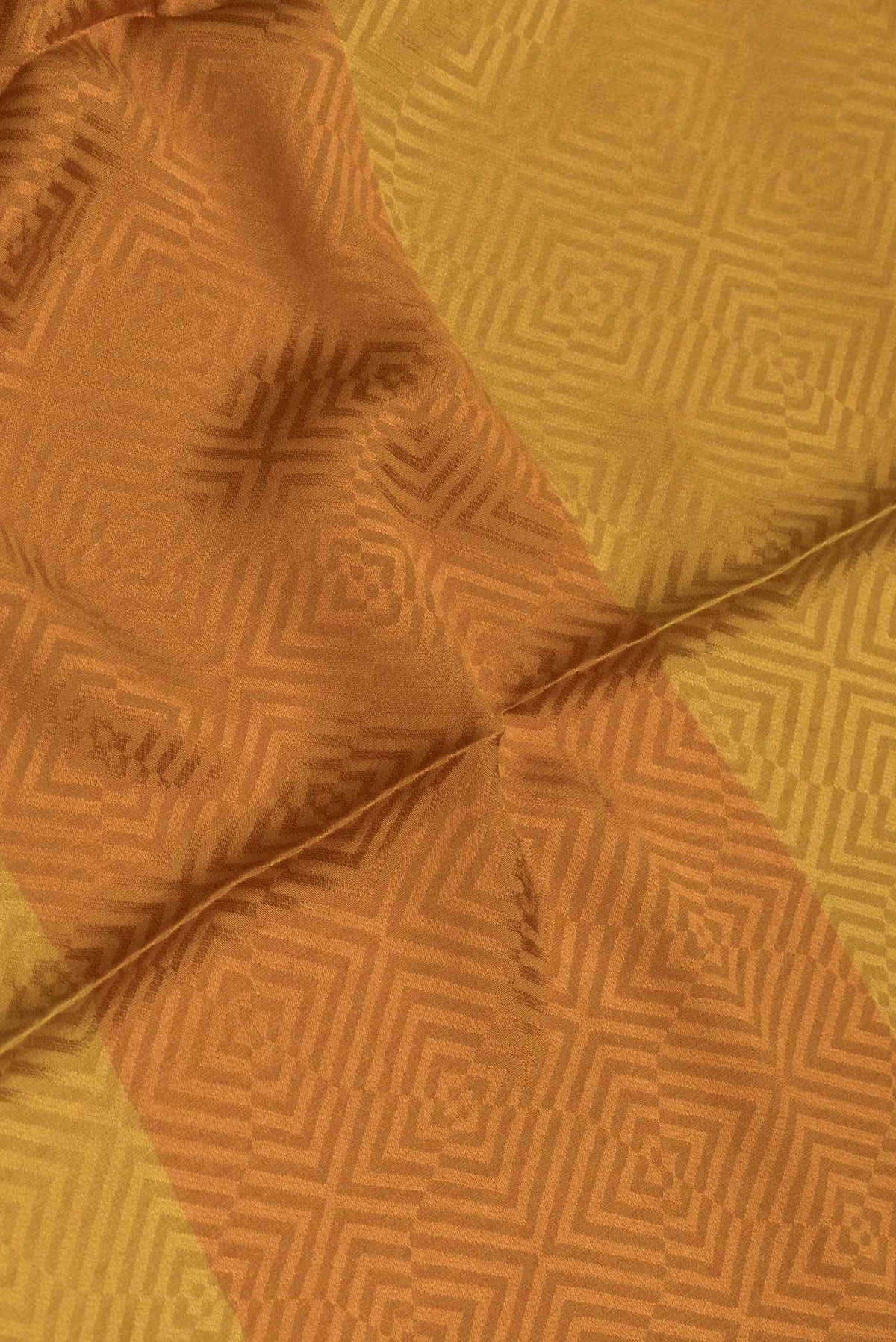 Close up of Mustard Dual Tone Tussar Silk Saree with Printed design on the body and Zari Border displaying folds