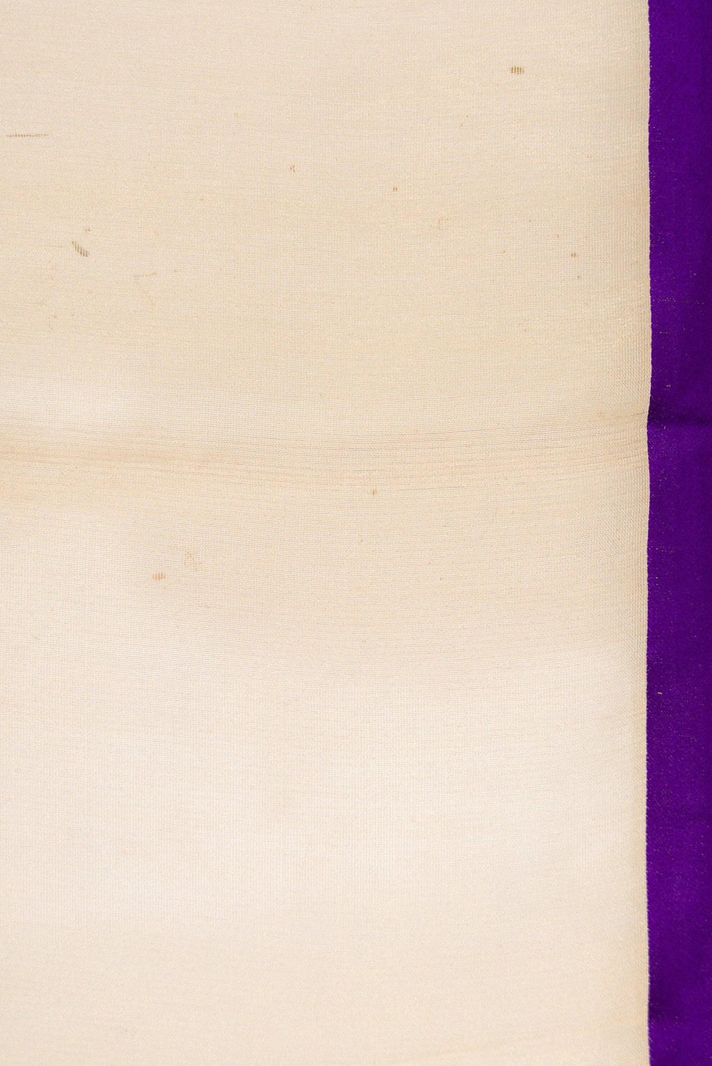 Border image of Silver and Gold Color Organza Silk Saree with Plain Body and Plain Border. 