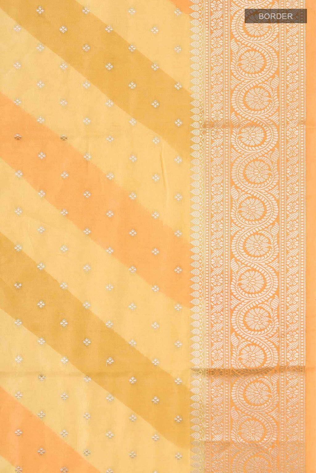 Border image of Multi Color Banarasi Raw Silk Saree with Zari Butta on the body and Zari Border