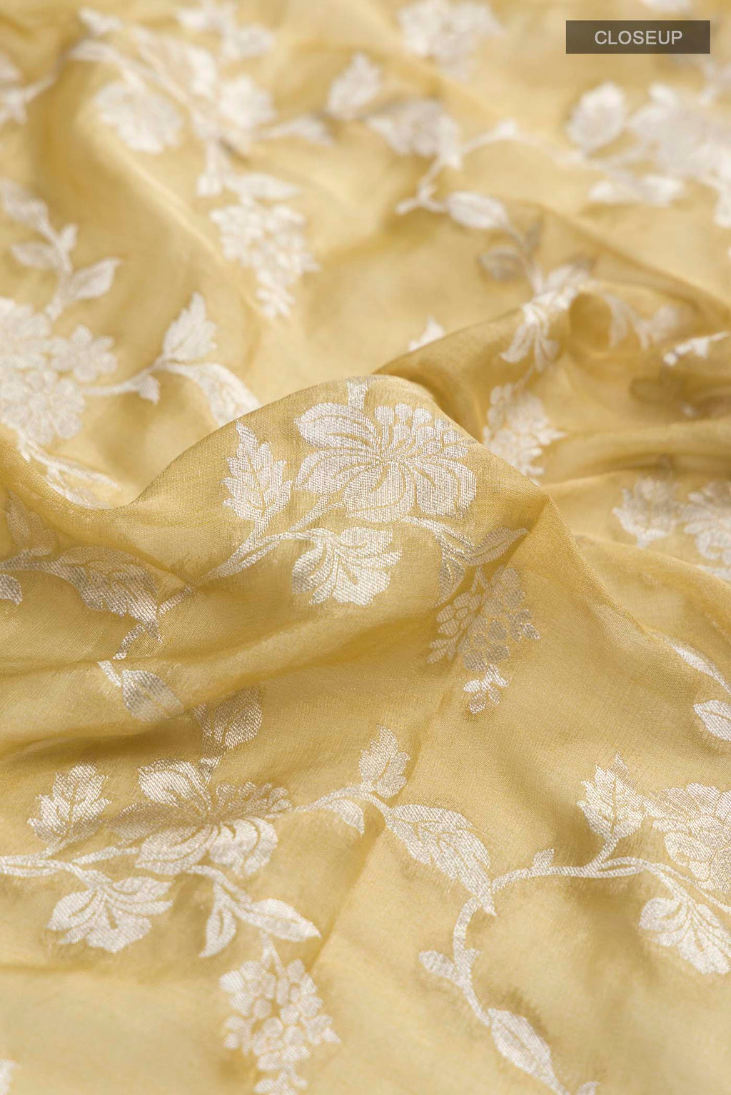 Close up of Beige Banarasi Georgette Saree with Zari Butta on the body and Zari Border displaying folds