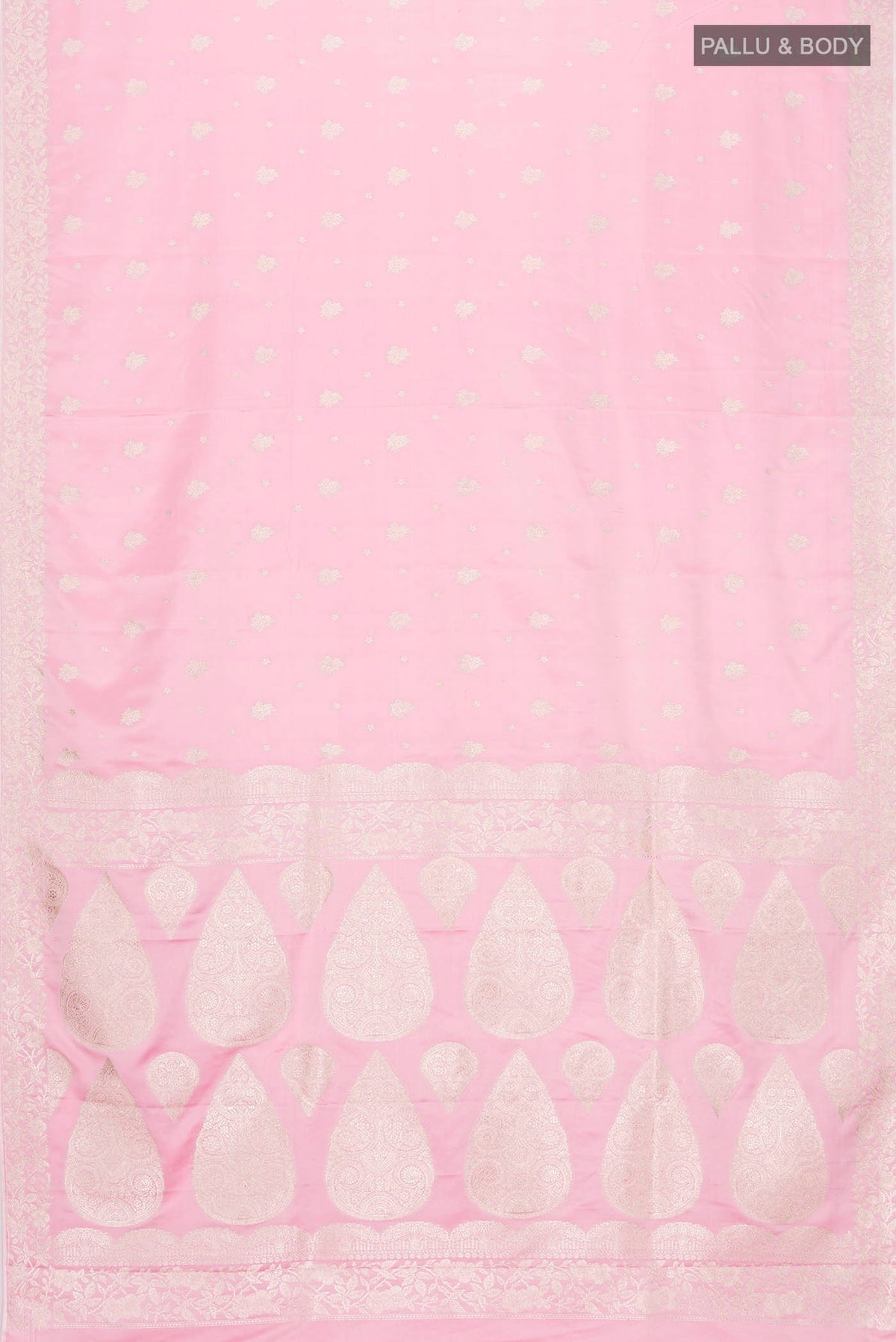 pallu body