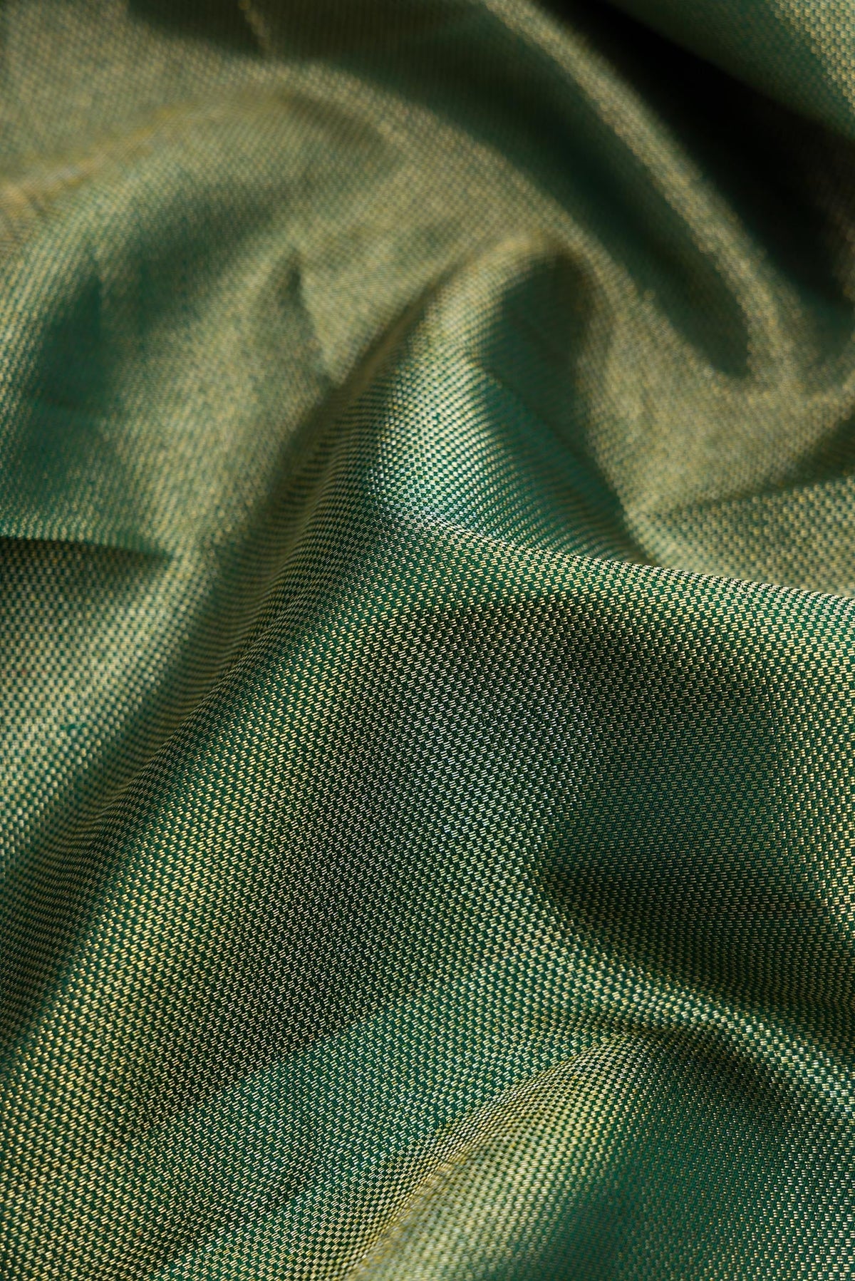 Close up of Green Dual Tone Kanchipuram Silk Saree with Zari Brocade on the body and Fancy Border.  displaying folds