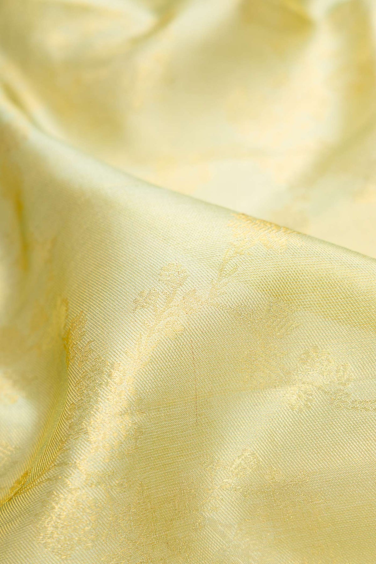 Close up of Light Green Dual Tone Kanchipuram Tissue Silk Saree with Zari Brocade on the body and Zari Border.  displaying folds