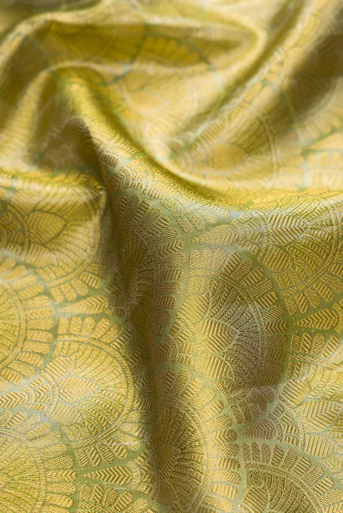 Close up of Green Dual Tone Kanchipuram Tissue Silk Saree with Zari Brocade on the body and Zari Border displaying folds