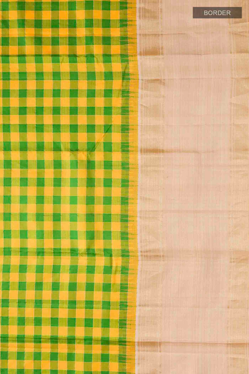 Border image of Multi Color Kanchipuram Silk Saree with Checked design on the body and Zari Border